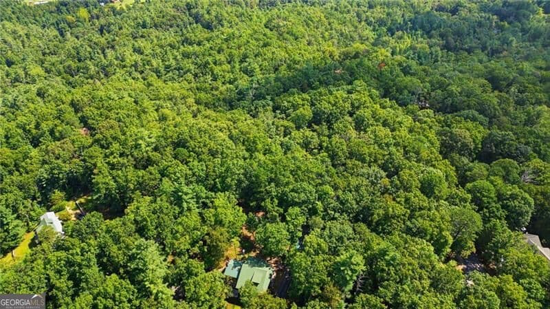residential lot for sale at 0 Brenary Drive, Lakemont, GA 30552 — photo 6