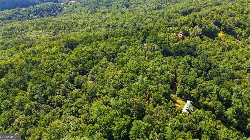 residential lot for sale at 0 Brenary Drive, Lakemont, GA 30552 — photo 7