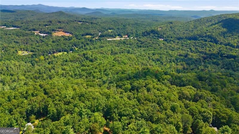 residential lot for sale at 0 Brenary Drive, Lakemont, GA 30552 — photo 3