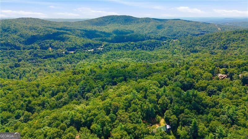 residential lot for sale at 0 Brenary Drive, Lakemont, GA 30552 — photo 5