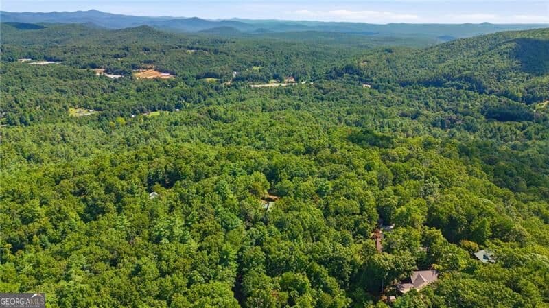 residential lot for sale at 0 Brenary Drive, Lakemont, GA 30552 — photo 4