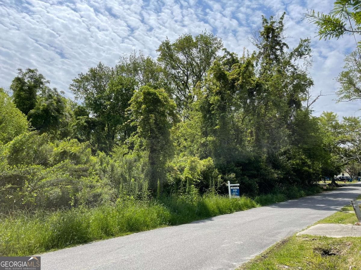 residential lot for sale at 209 Lively Street, Vidalia, GA 30474 — photo 6