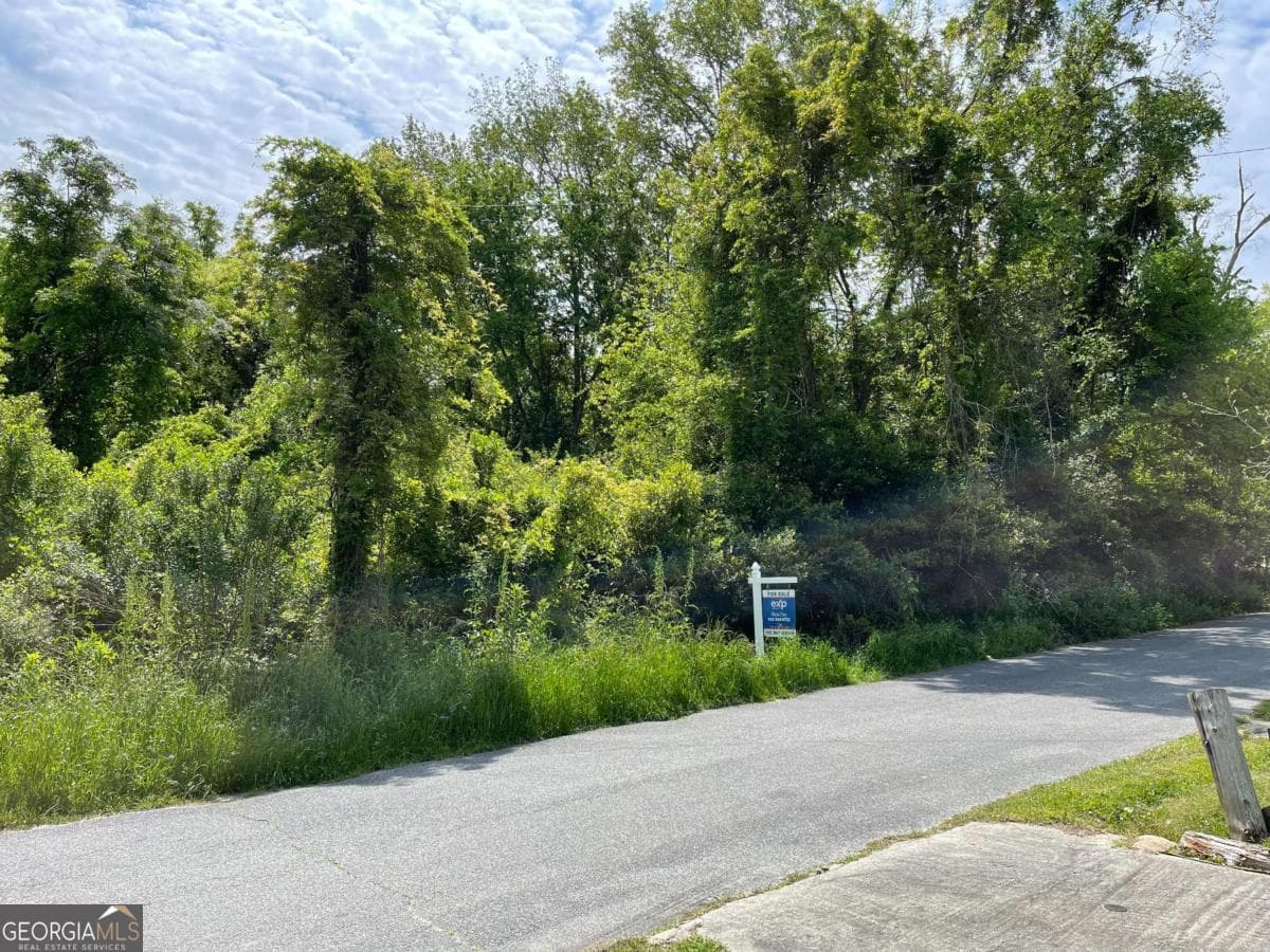 residential lot for sale at 209 Lively Street, Vidalia, GA 30474 — photo 7