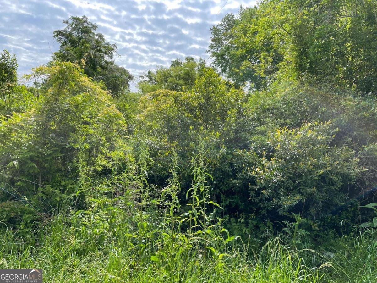residential lot for sale at 209 Lively Street, Vidalia, GA 30474 — photo 3