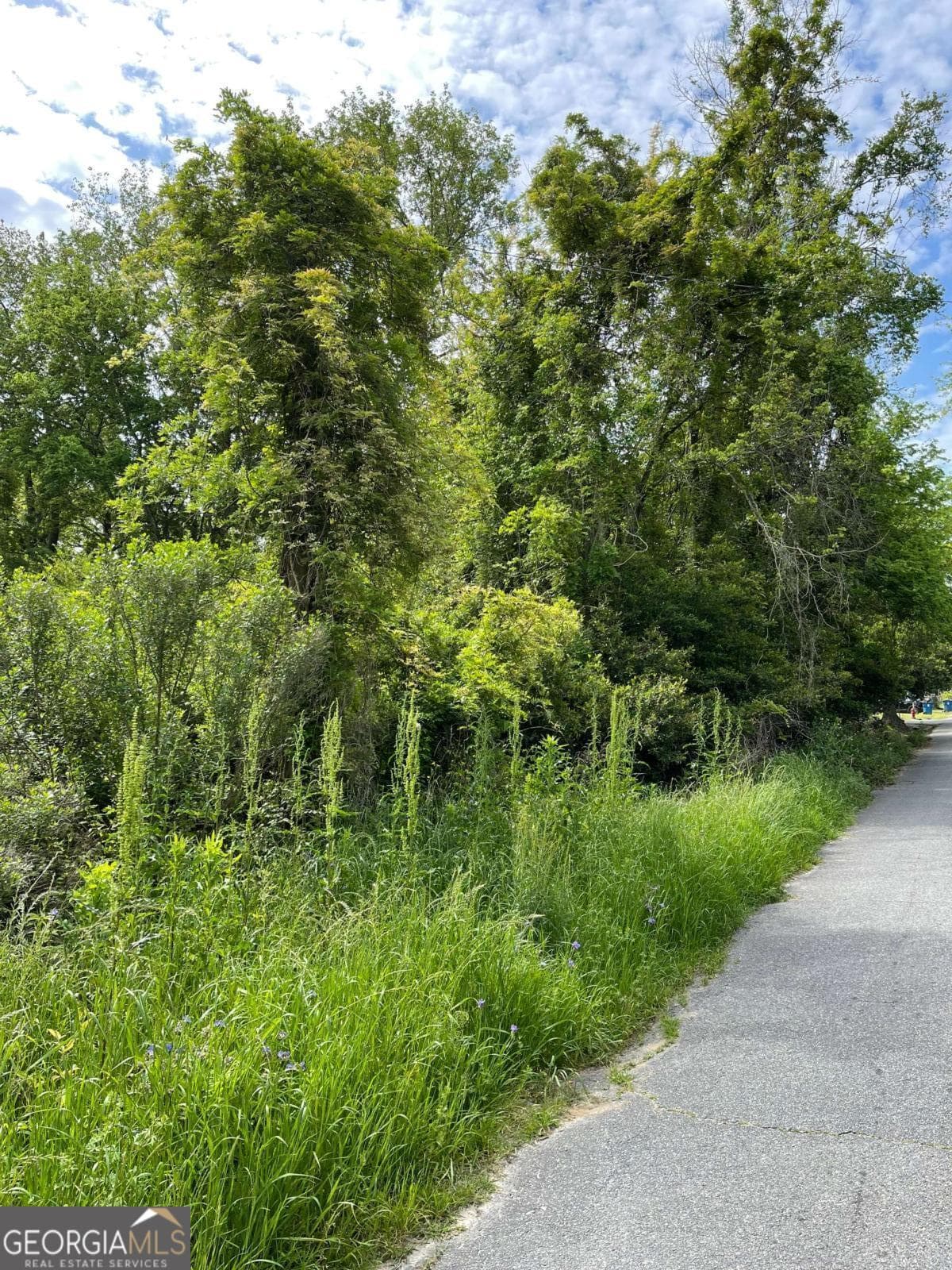 residential lot for sale at 209 Lively Street, Vidalia, GA 30474 — photo 1 of 7