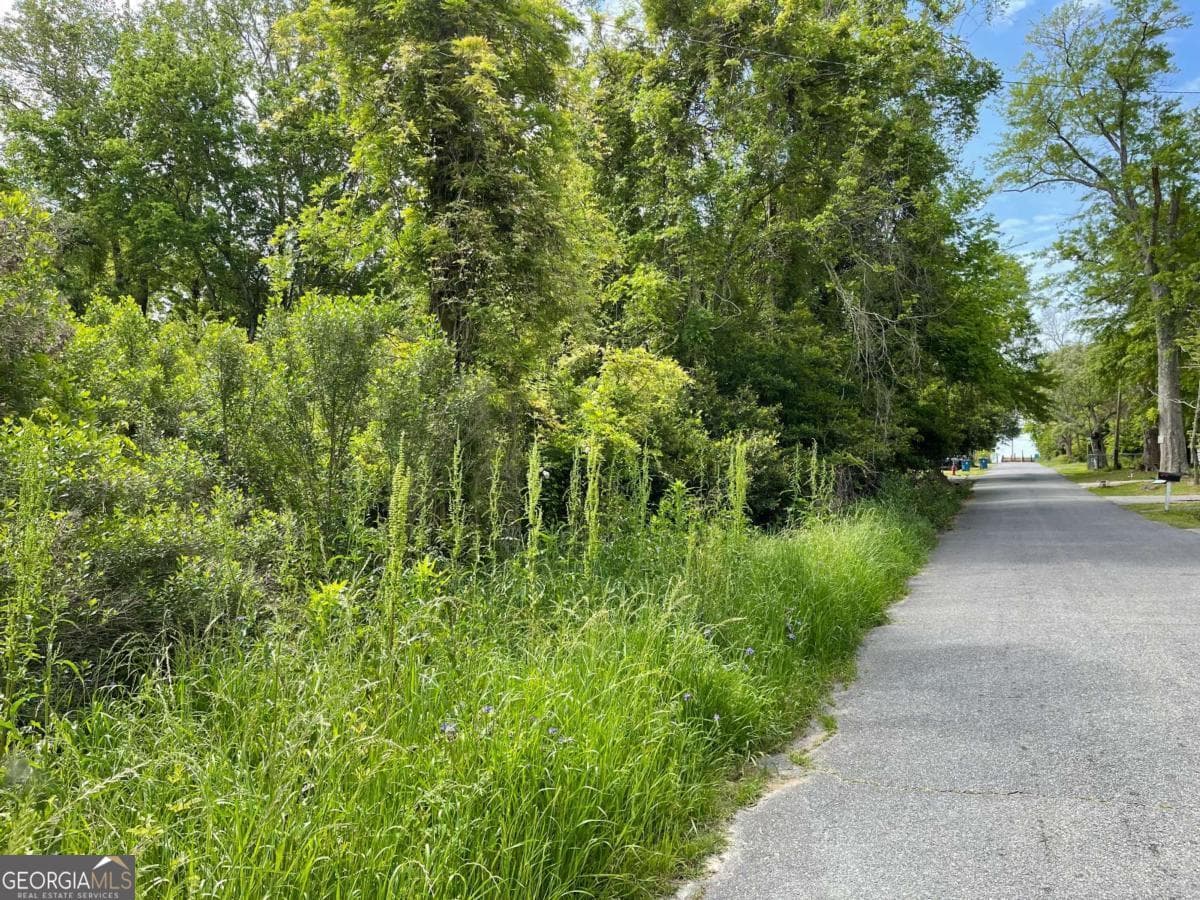 residential lot for sale at 209 Lively Street, Vidalia, GA 30474 — photo 5