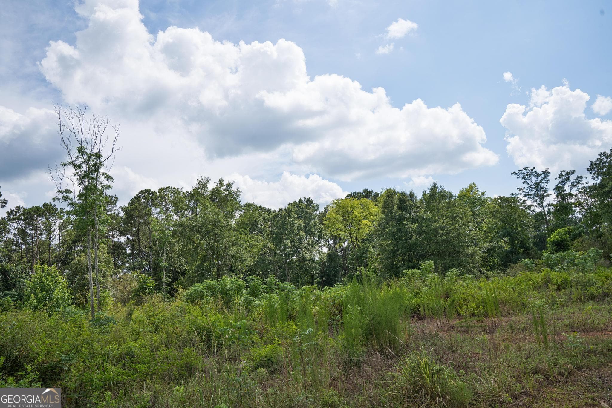 residential lot for sale at 52 Askin Place, Culloden, GA 31016 — photo 2