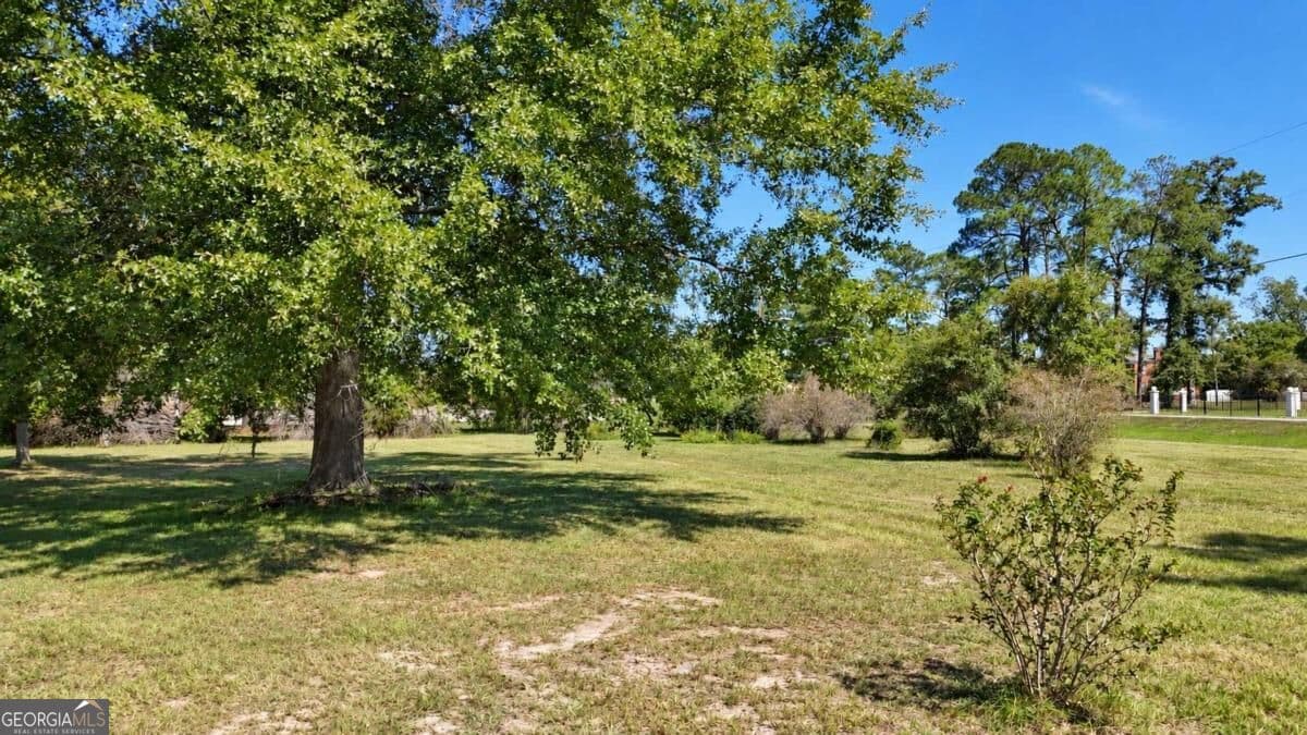 residential lot for sale at 0 Hwy 280, Reidsville, GA 30453 — photo 2