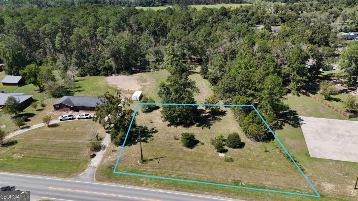 residential lot for sale at 0 Hwy 280, Reidsville, GA 30453 — photo 3