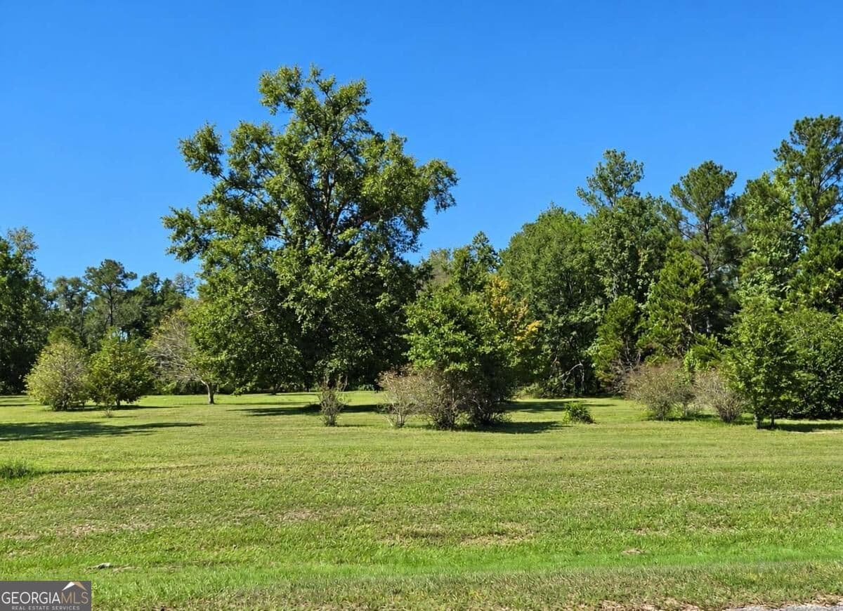 residential lot for sale at 0 Hwy 280, Reidsville, GA 30453 — photo 1 of 3