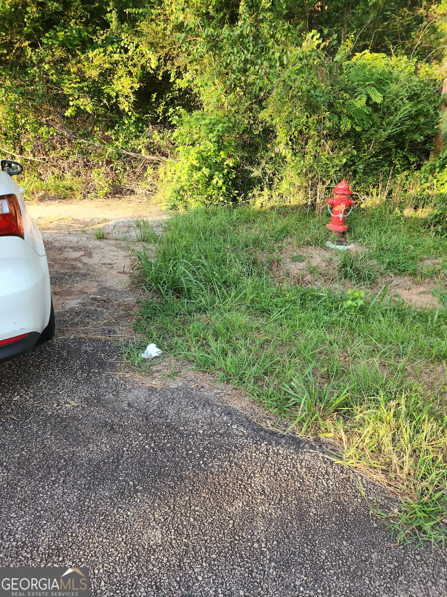 residential lot for sale at 0 W. Main Street, Hogansville, GA 30230 — photo 2