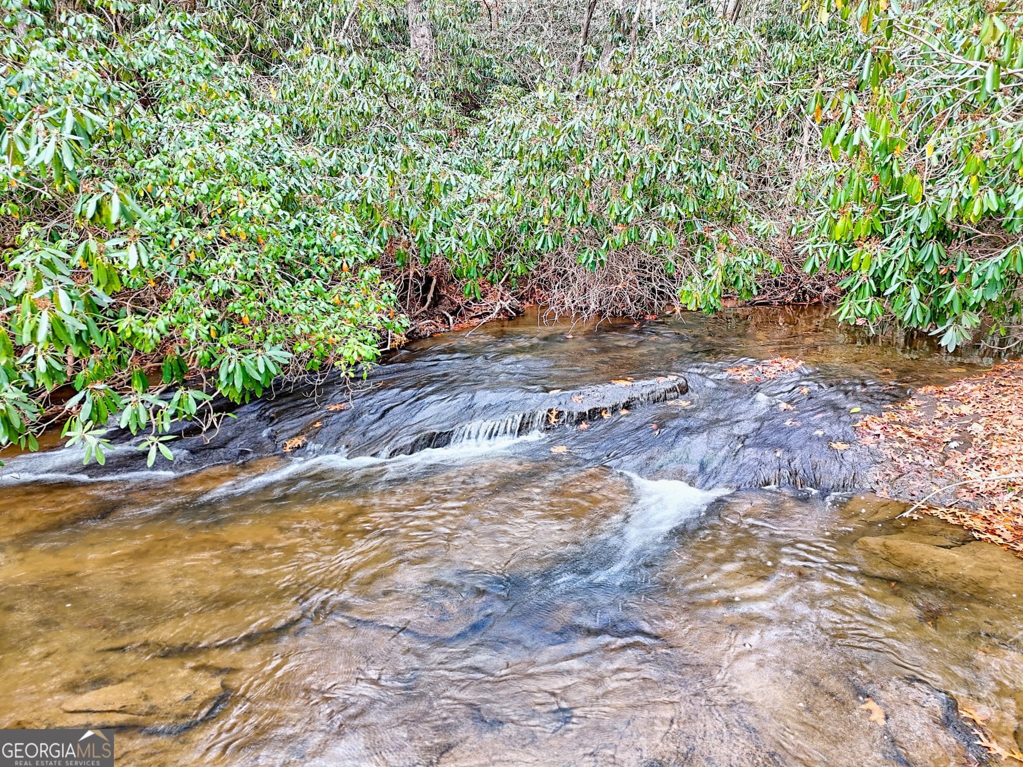 3 bedroom, 2 bathroom, 1,594 sq ft single family residence for sale at 7829 Dillard Road, Scaly Mtn, NC 28775 — photo 3
