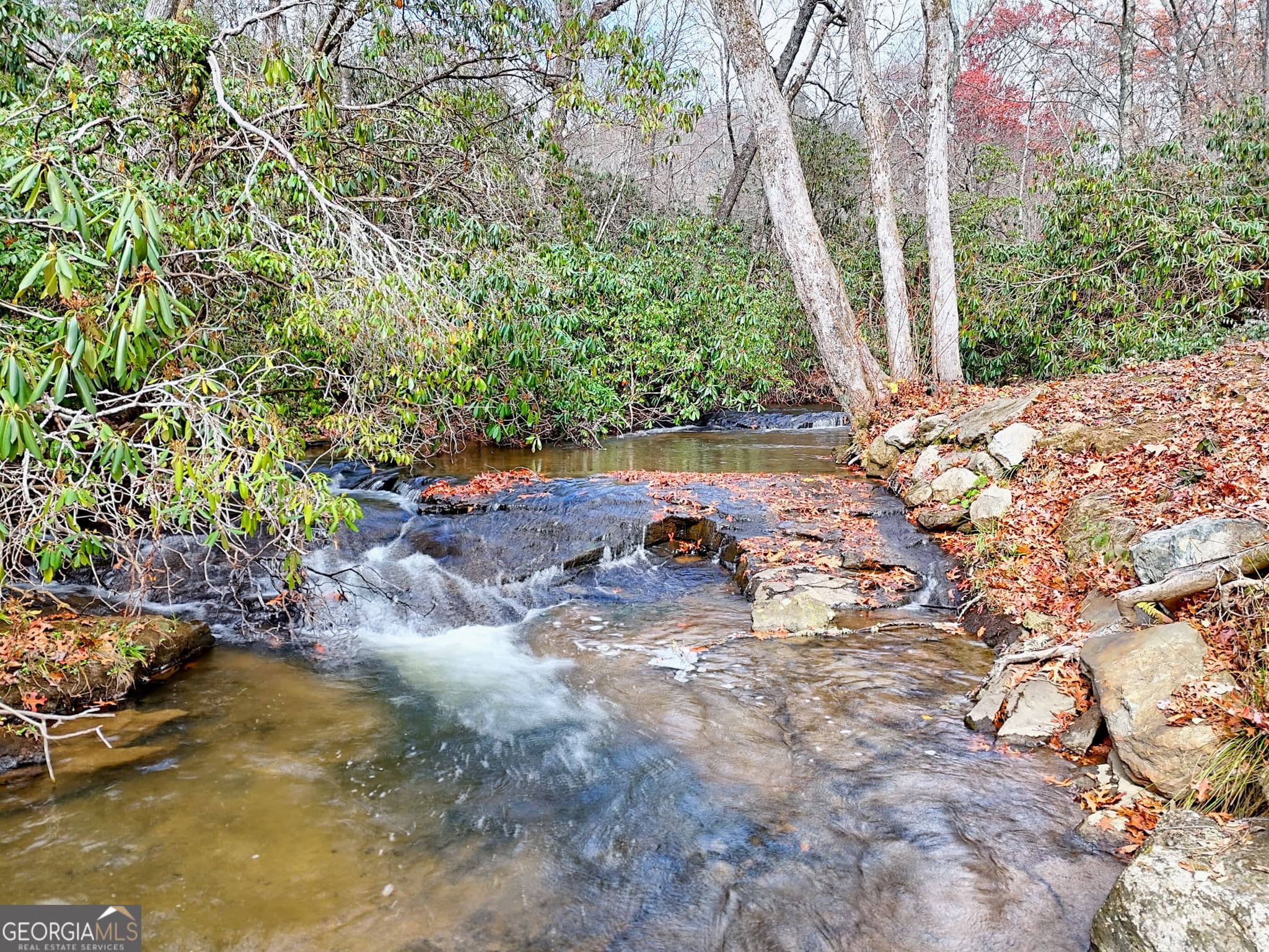 3 bedroom, 2 bathroom, 1,594 sq ft single family residence for sale at 7829 Dillard Road, Scaly Mtn, NC 28775