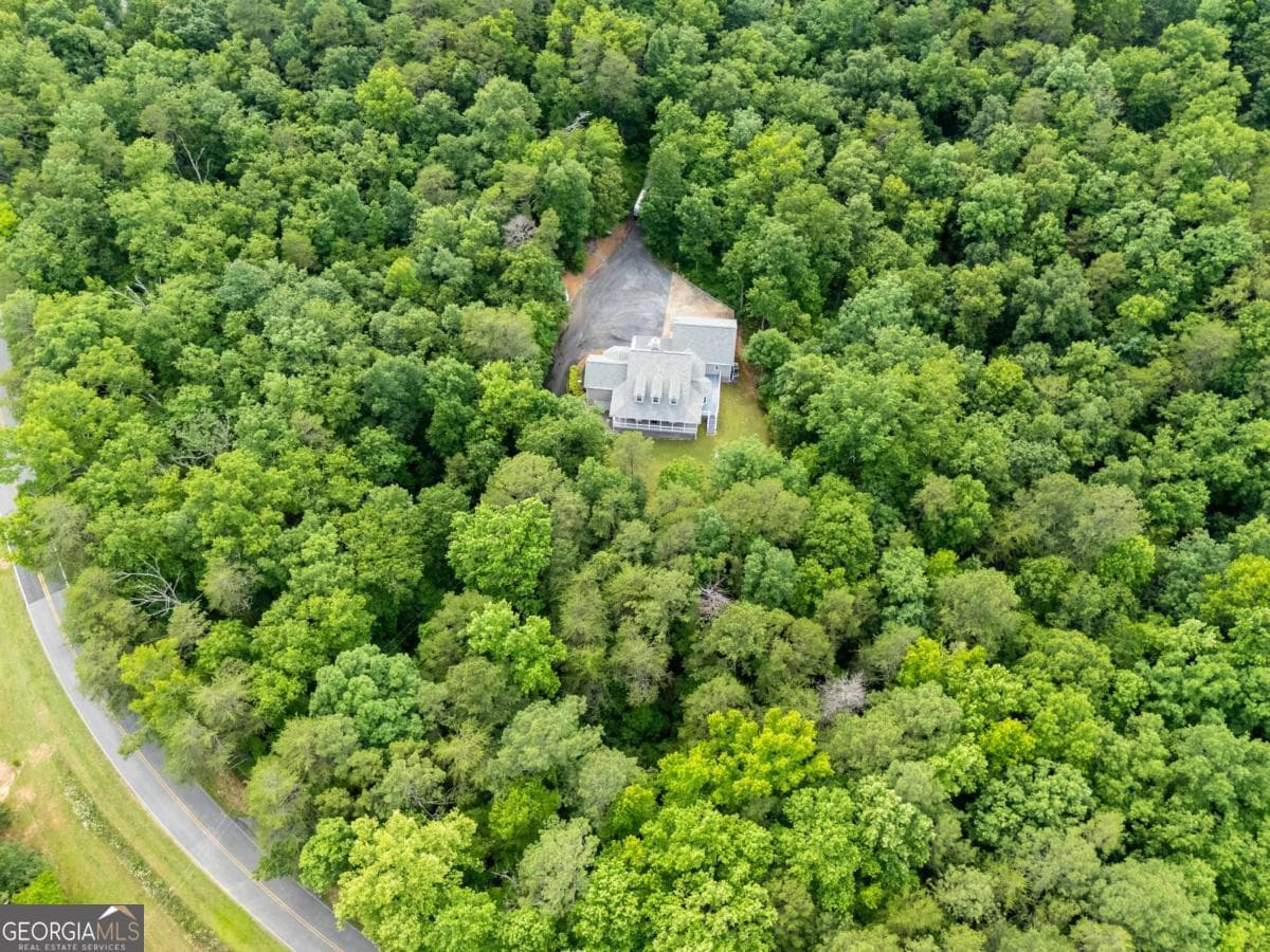 3 bedroom, 2.5 bathroom, 2,296 sq ft single family residence for sale at 546 Mount Pleasant Road, Fairmount, GA 30139 — photo 3