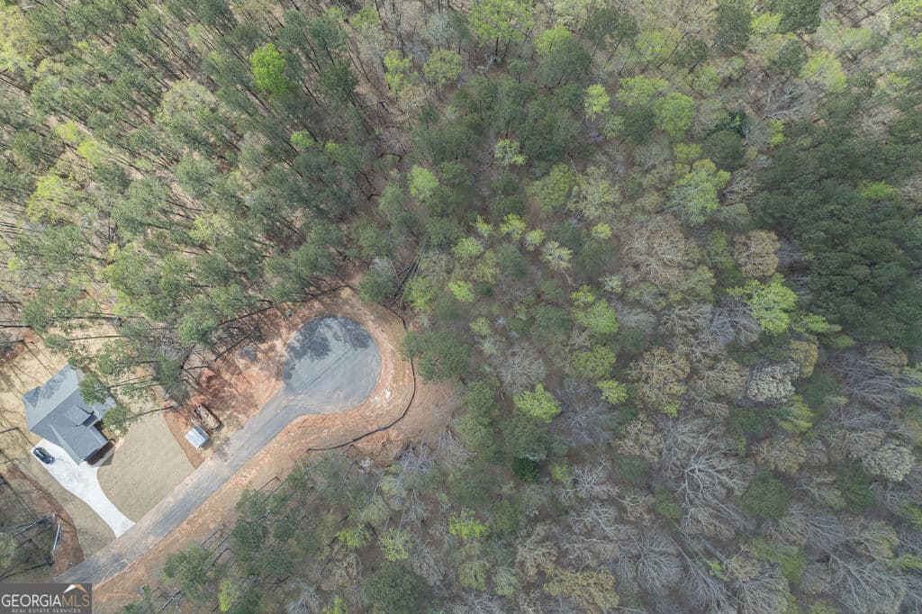 estate lot for sale at LOT 4 Puckett Station No Street Suffix, Moreland, GA 30259 — photo 3