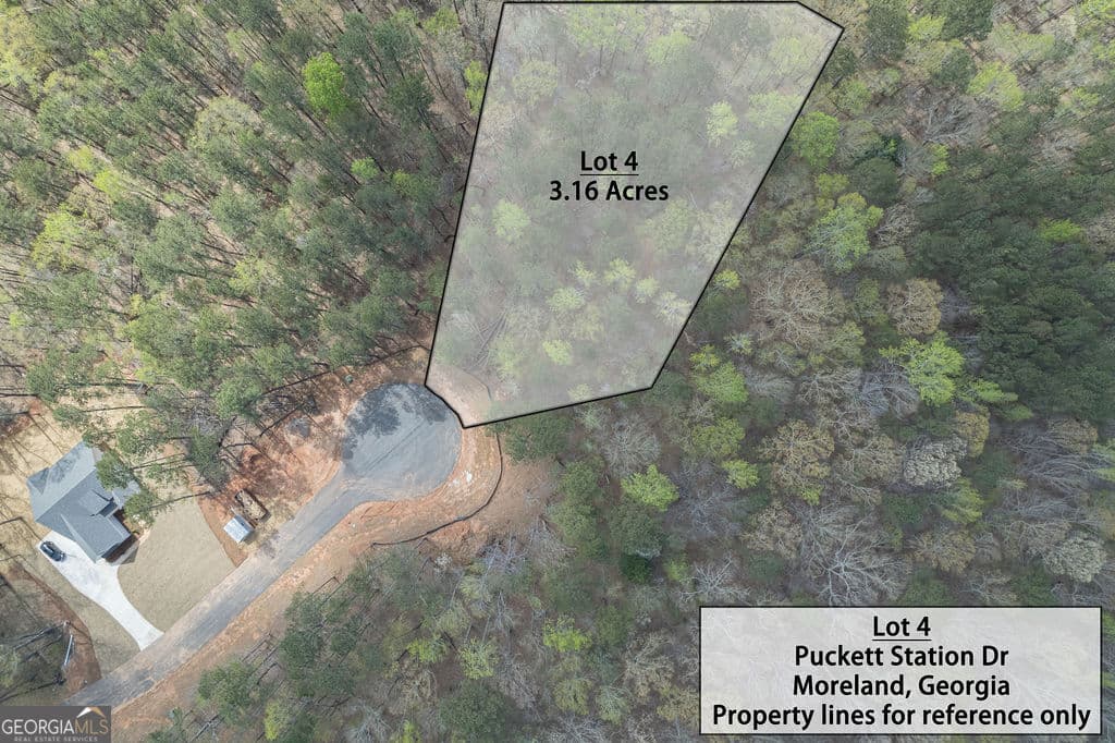 estate lot for sale at LOT 4 Puckett Station No Street Suffix, Moreland, GA 30259 — photo 1 of 9