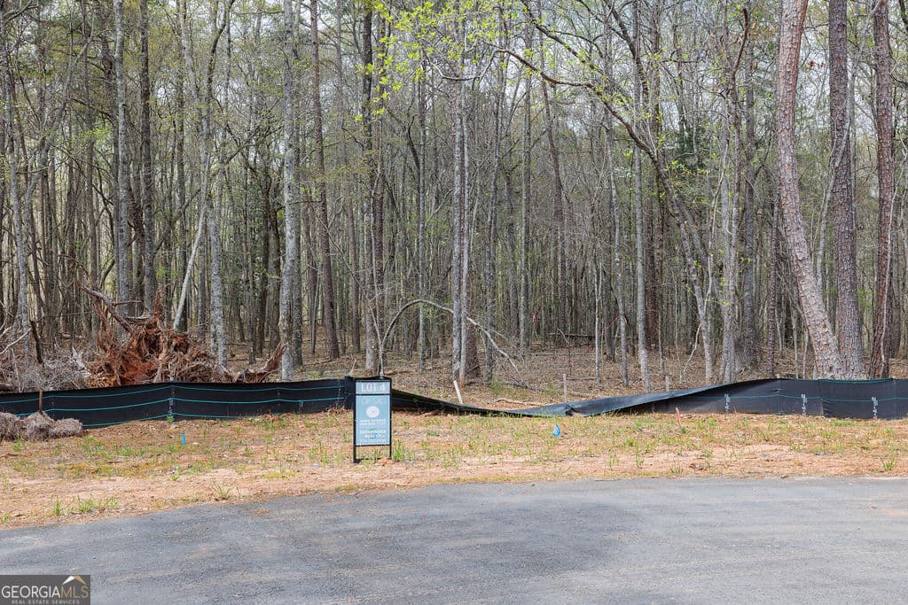 estate lot for sale at LOT 4 Puckett Station No Street Suffix, Moreland, GA 30259 — photo 4