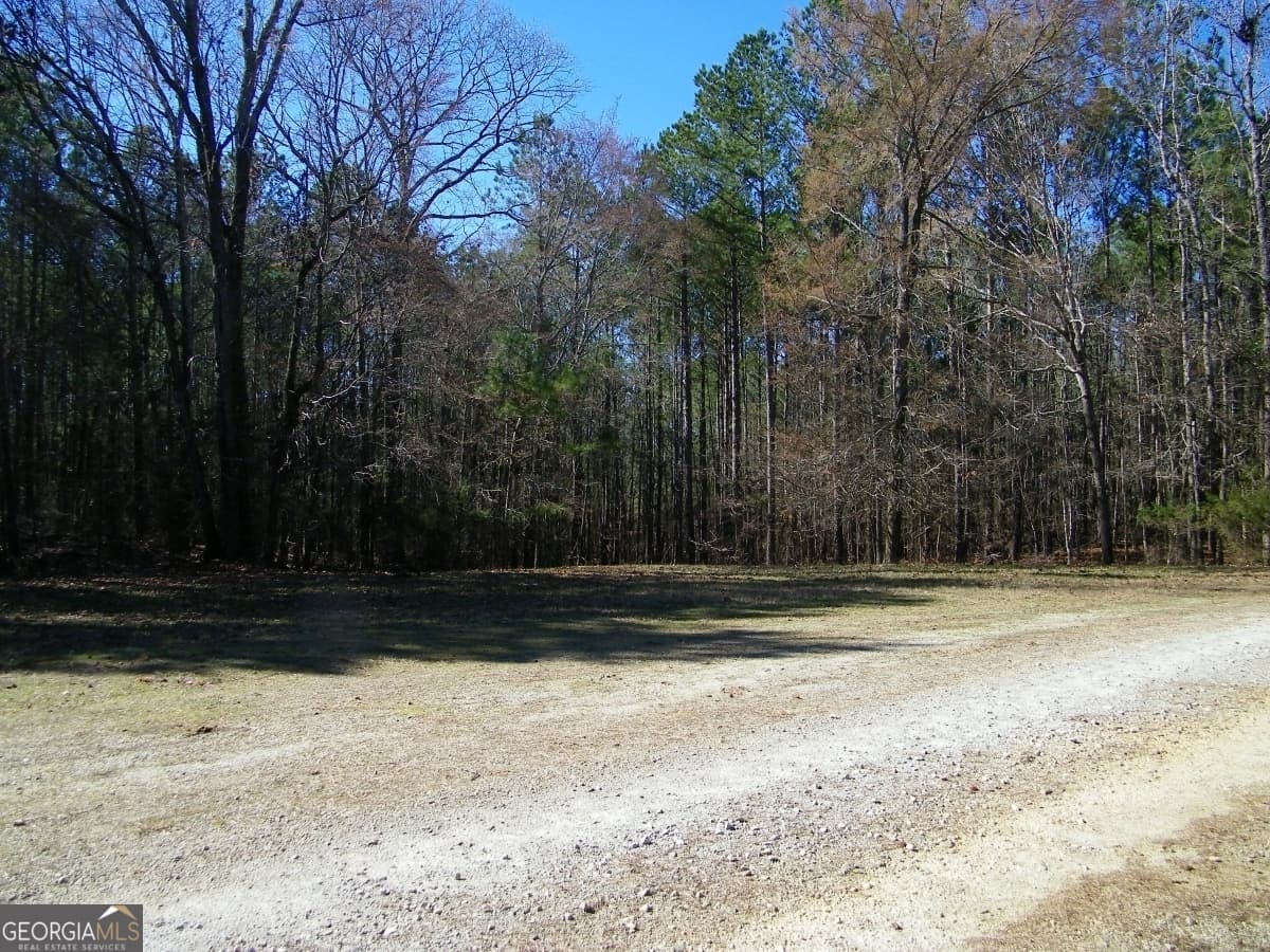 residential lot for sale at LOT 17 Blackberry Bend, Elberton, GA 30635 — photo 2