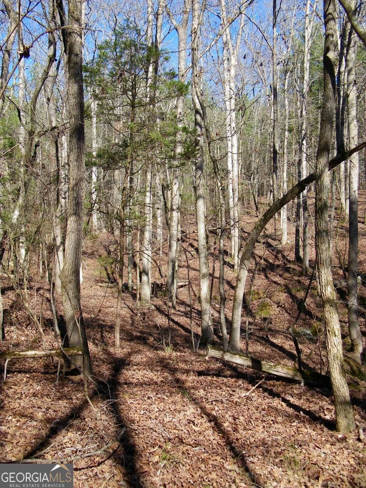 residential lot for sale at LOT 17 Blackberry Bend, Elberton, GA 30635 — photo 3
