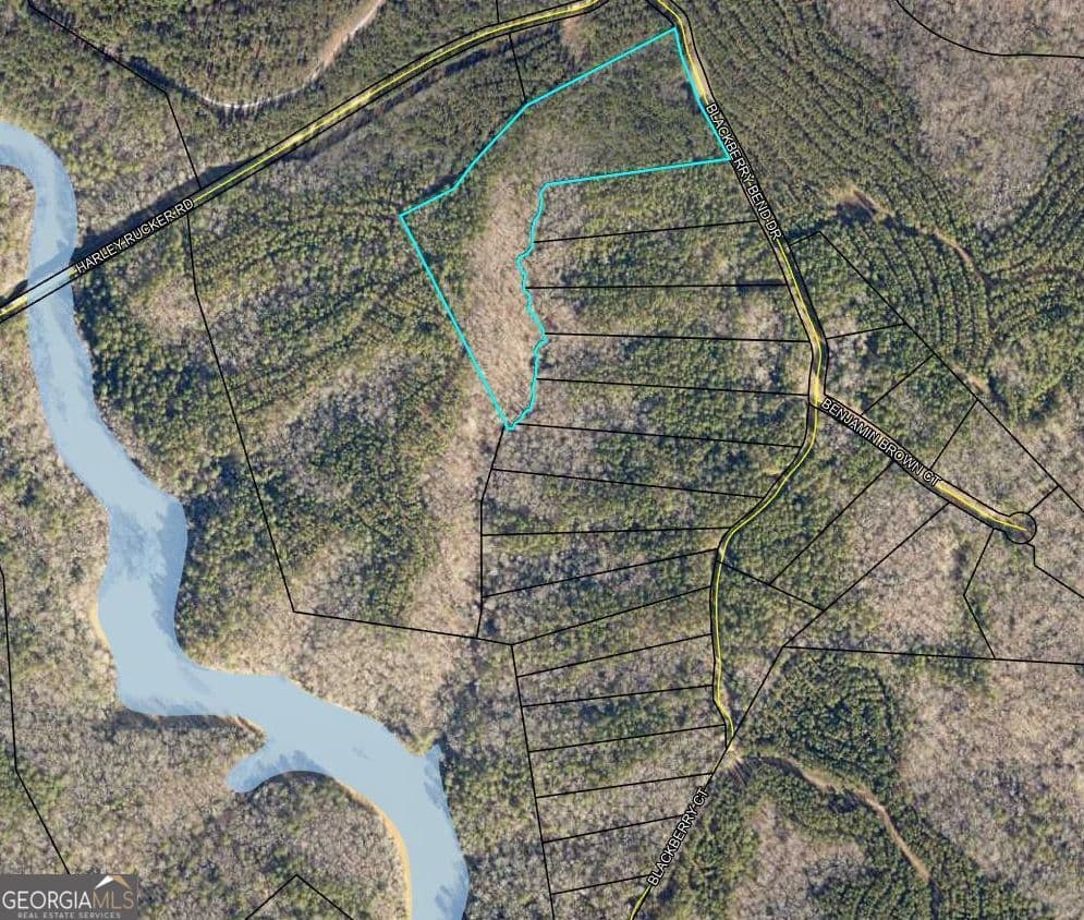 residential lot for sale at LOT 17 Blackberry Bend, Elberton, GA 30635 — photo 1 of 14