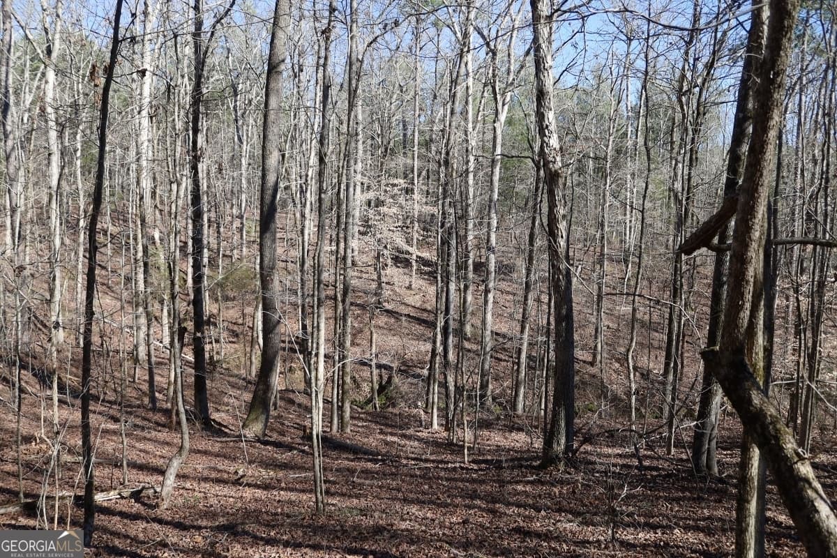 residential lot for sale at LOT 17 Blackberry Bend, Elberton, GA 30635 — photo 5