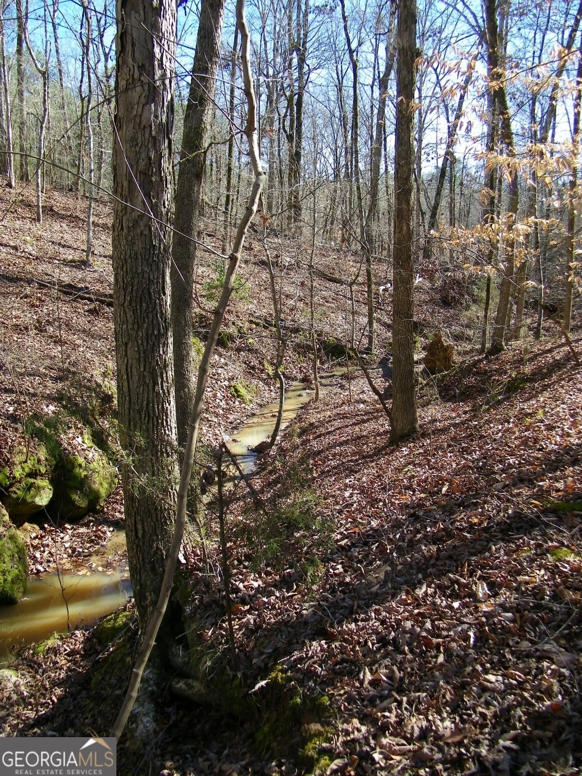 residential lot for sale at LOT 17 Blackberry Bend, Elberton, GA 30635 — photo 9