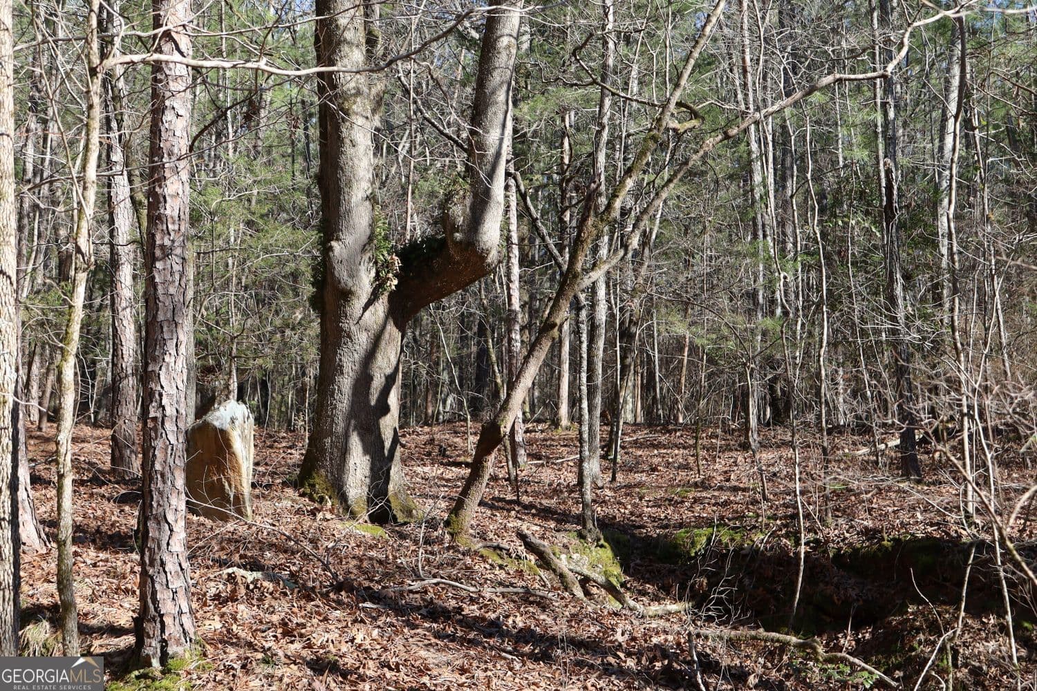 residential lot for sale at LOT 17 Blackberry Bend, Elberton, GA 30635 — photo 4