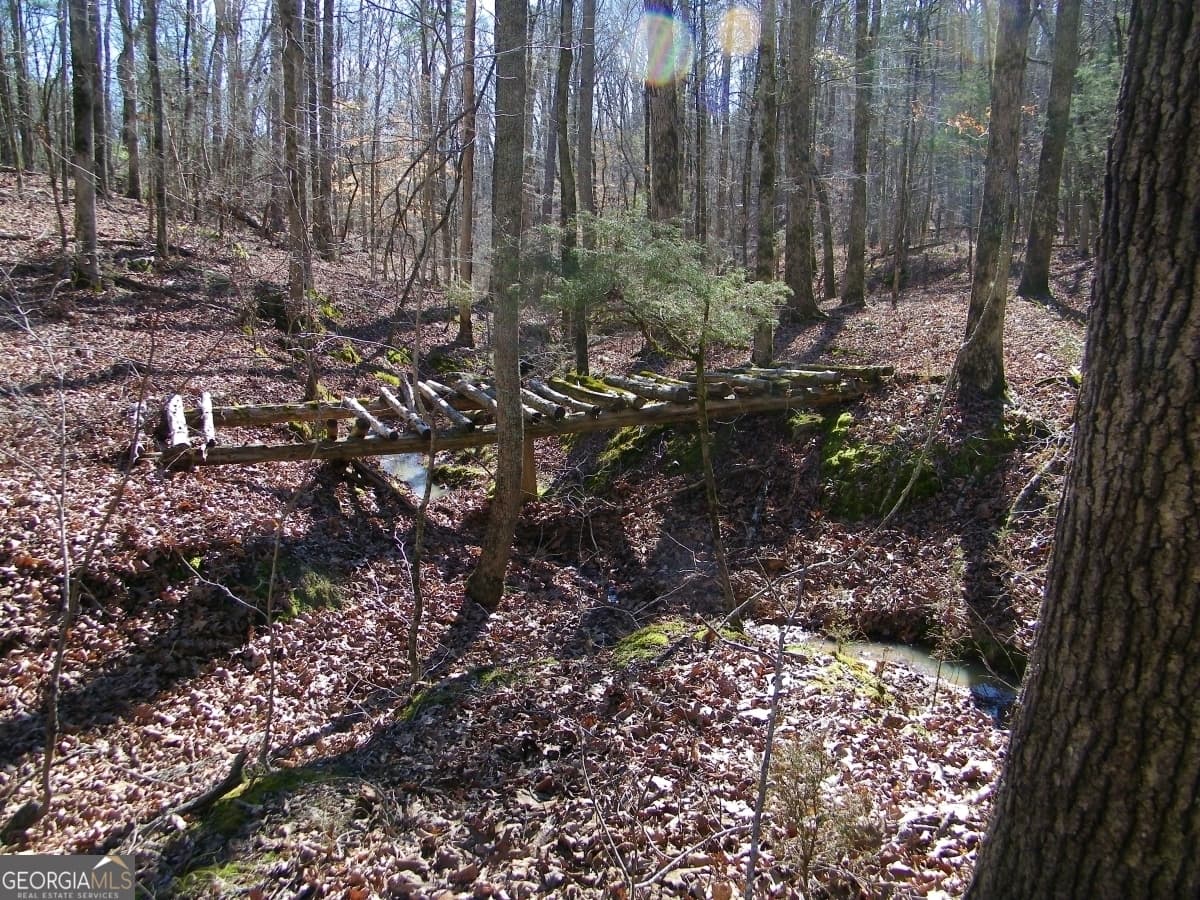 residential lot for sale at LOT 17 Blackberry Bend, Elberton, GA 30635 — photo 8