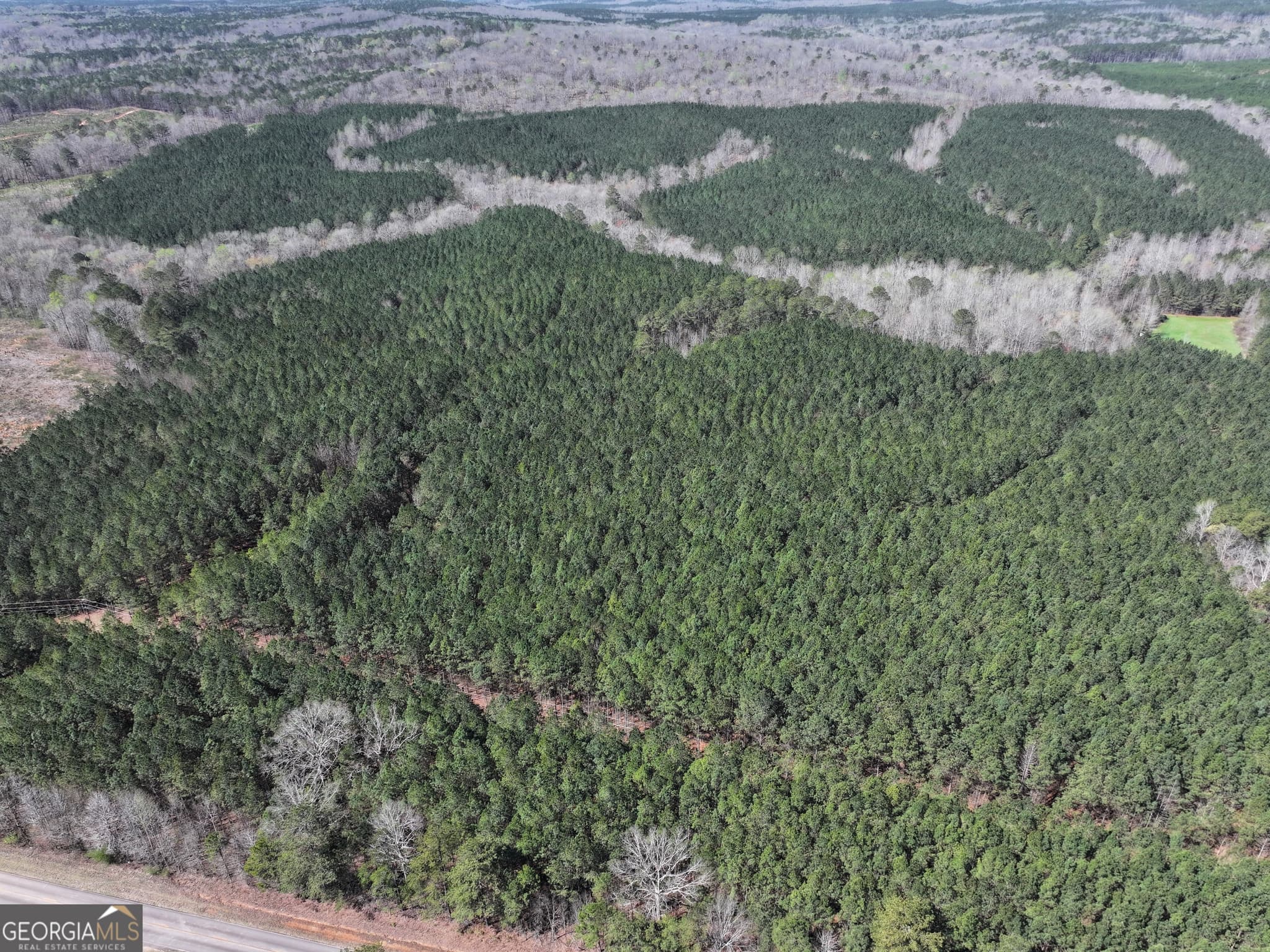 agriculture for sale at 257 +/- Acres on Ridgeway Road, Franklin, GA 30217 — photo 6