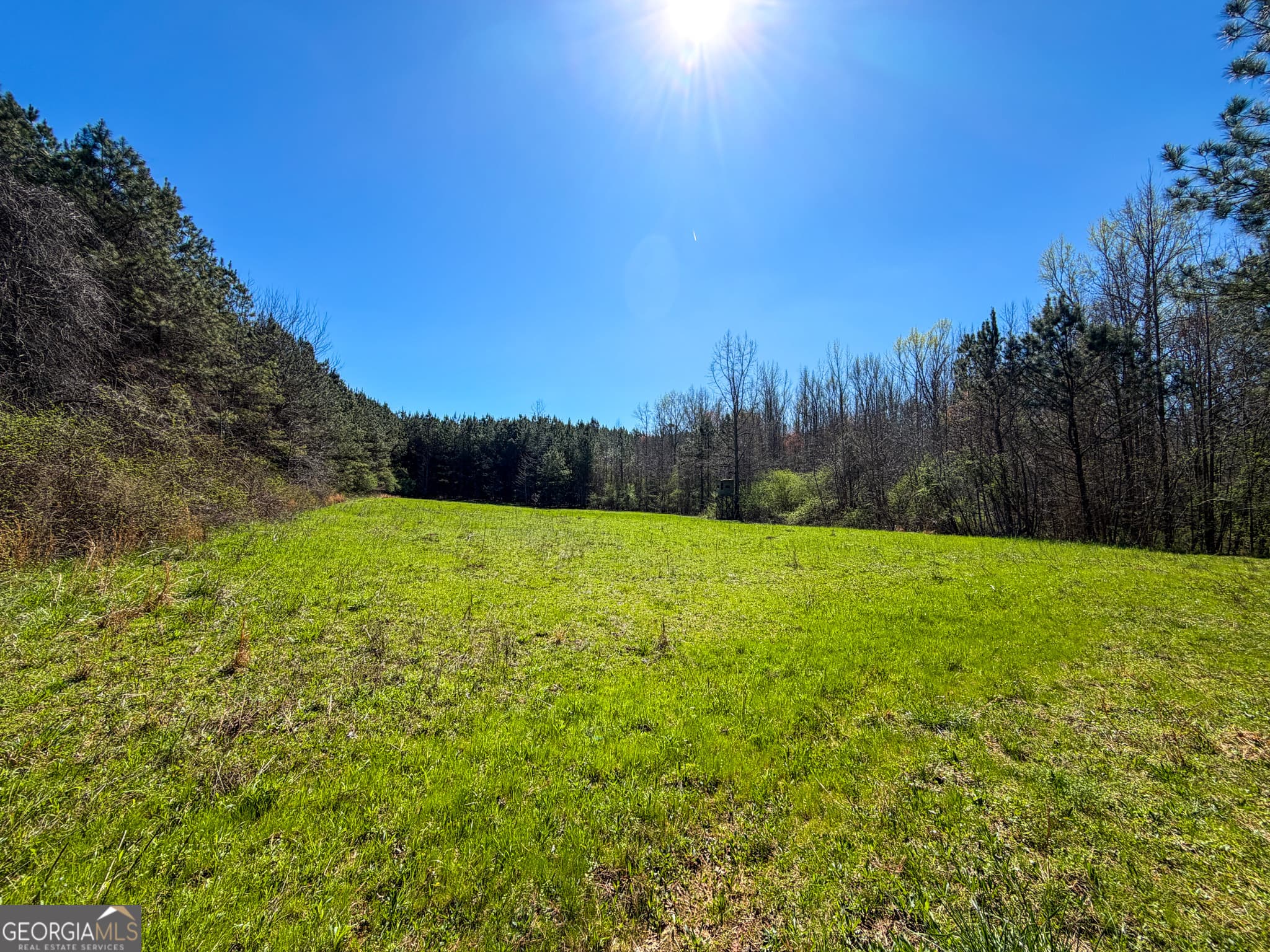 agriculture for sale at 257 +/- Acres on Ridgeway Road, Franklin, GA 30217 — photo 7