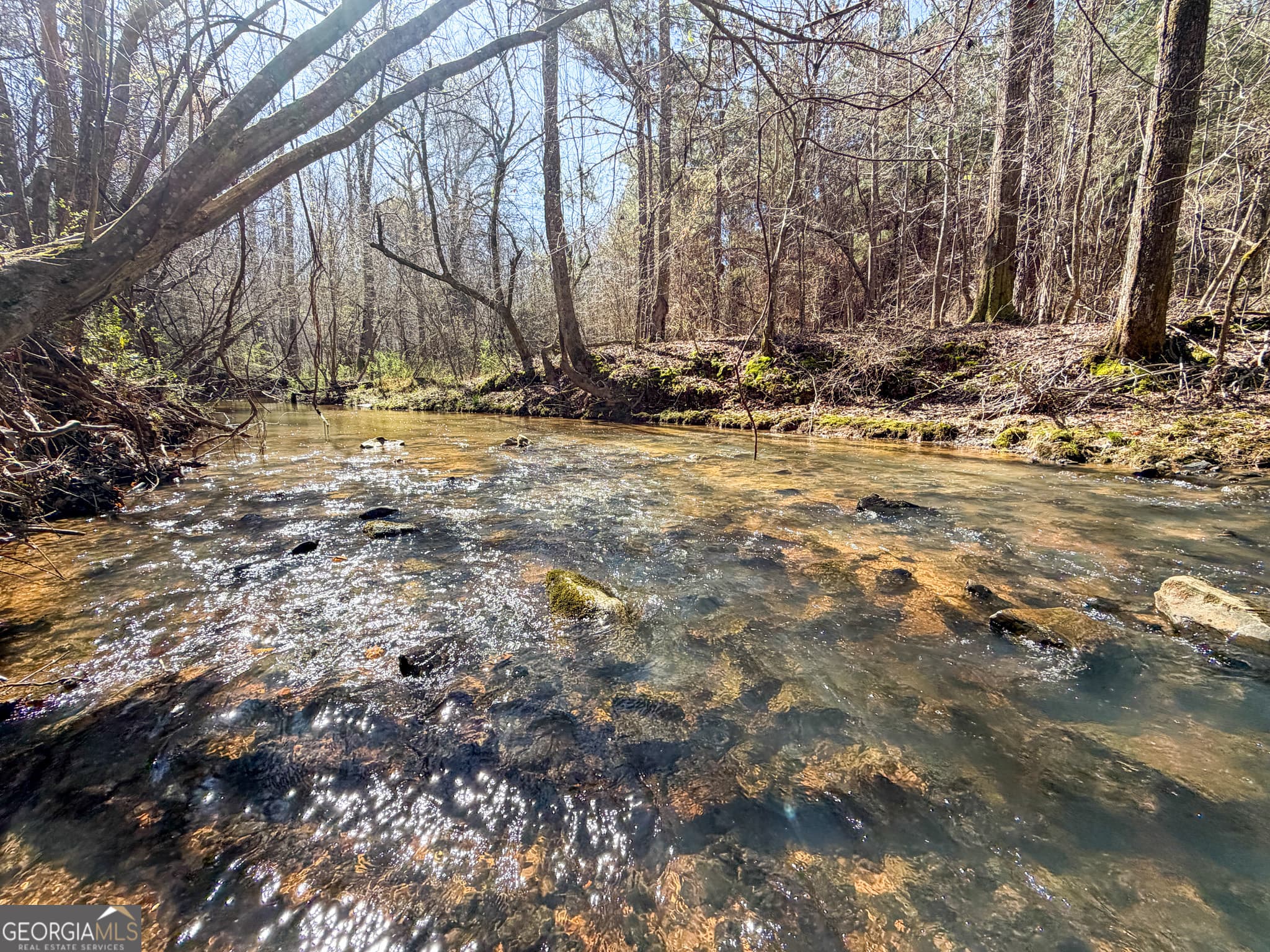 agriculture for sale at 257 +/- Acres on Ridgeway Road, Franklin, GA 30217 — photo 3