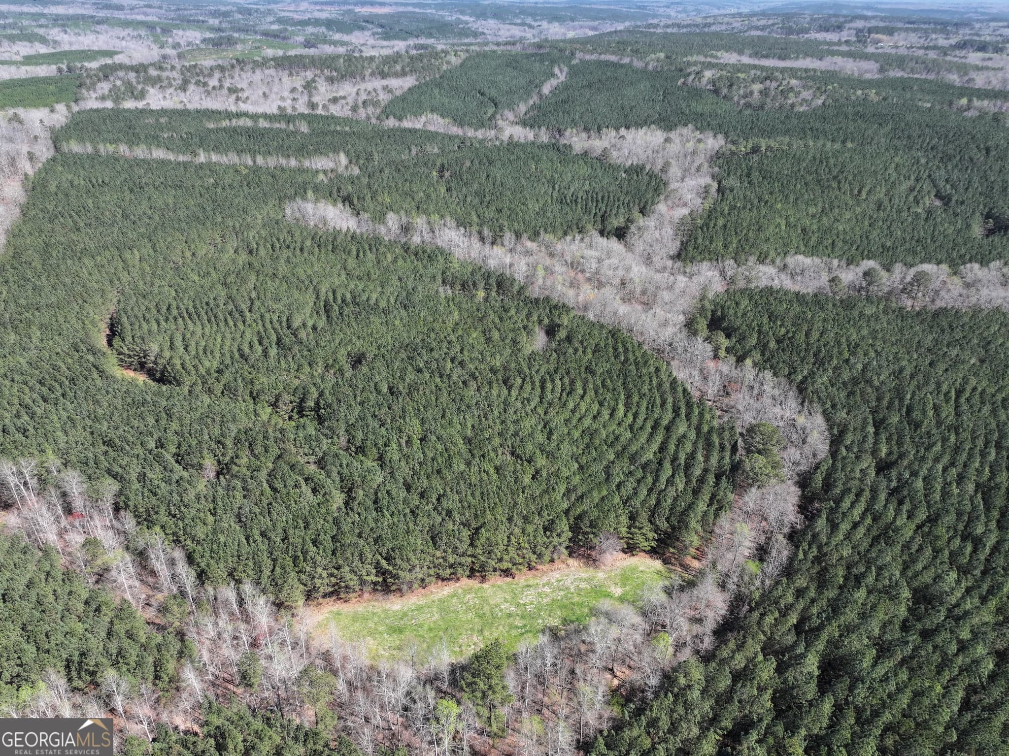 agriculture for sale at 257 +/- Acres on Ridgeway Road, Franklin, GA 30217