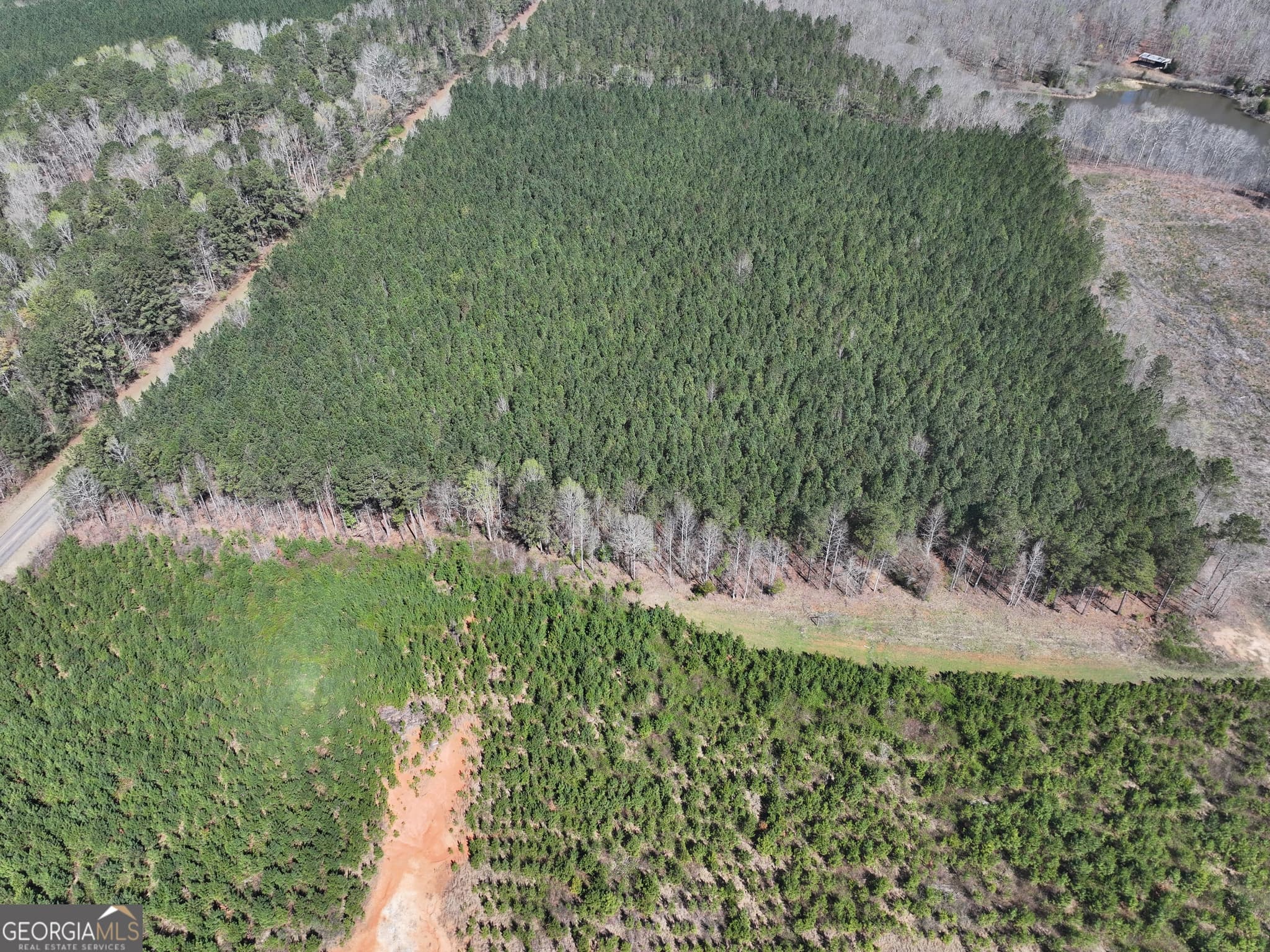 agriculture for sale at 257 +/- Acres on Ridgeway Road, Franklin, GA 30217 — photo 9