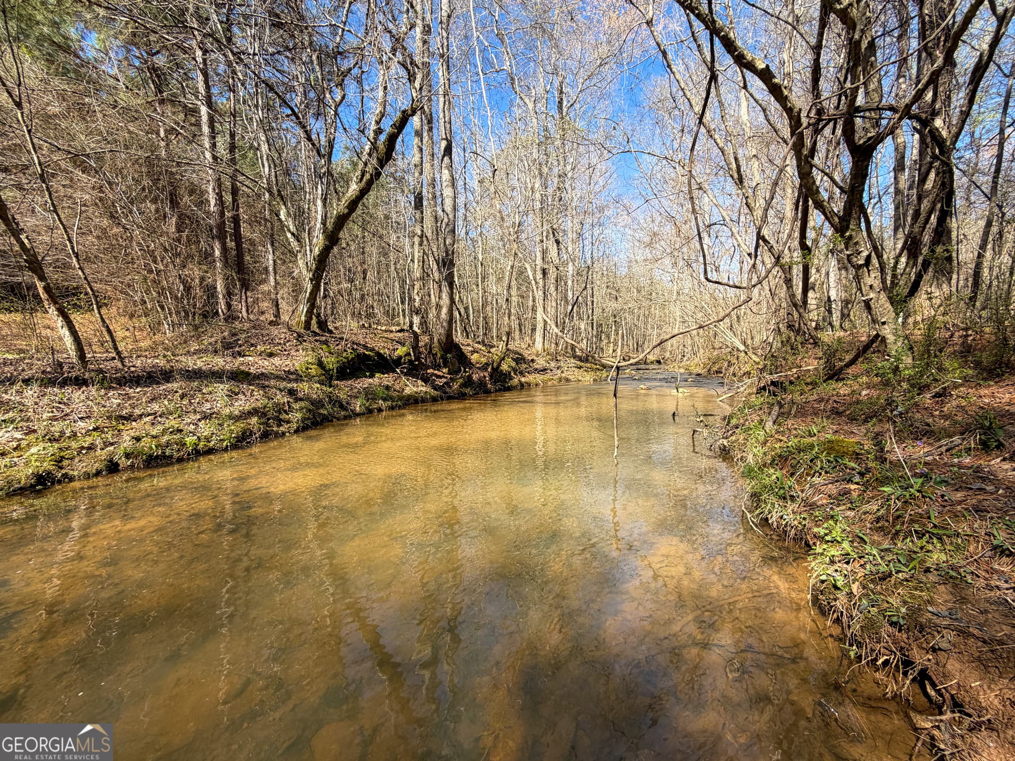 agriculture for sale at 257 +/- Acres on Ridgeway Road, Franklin, GA 30217 — photo 10