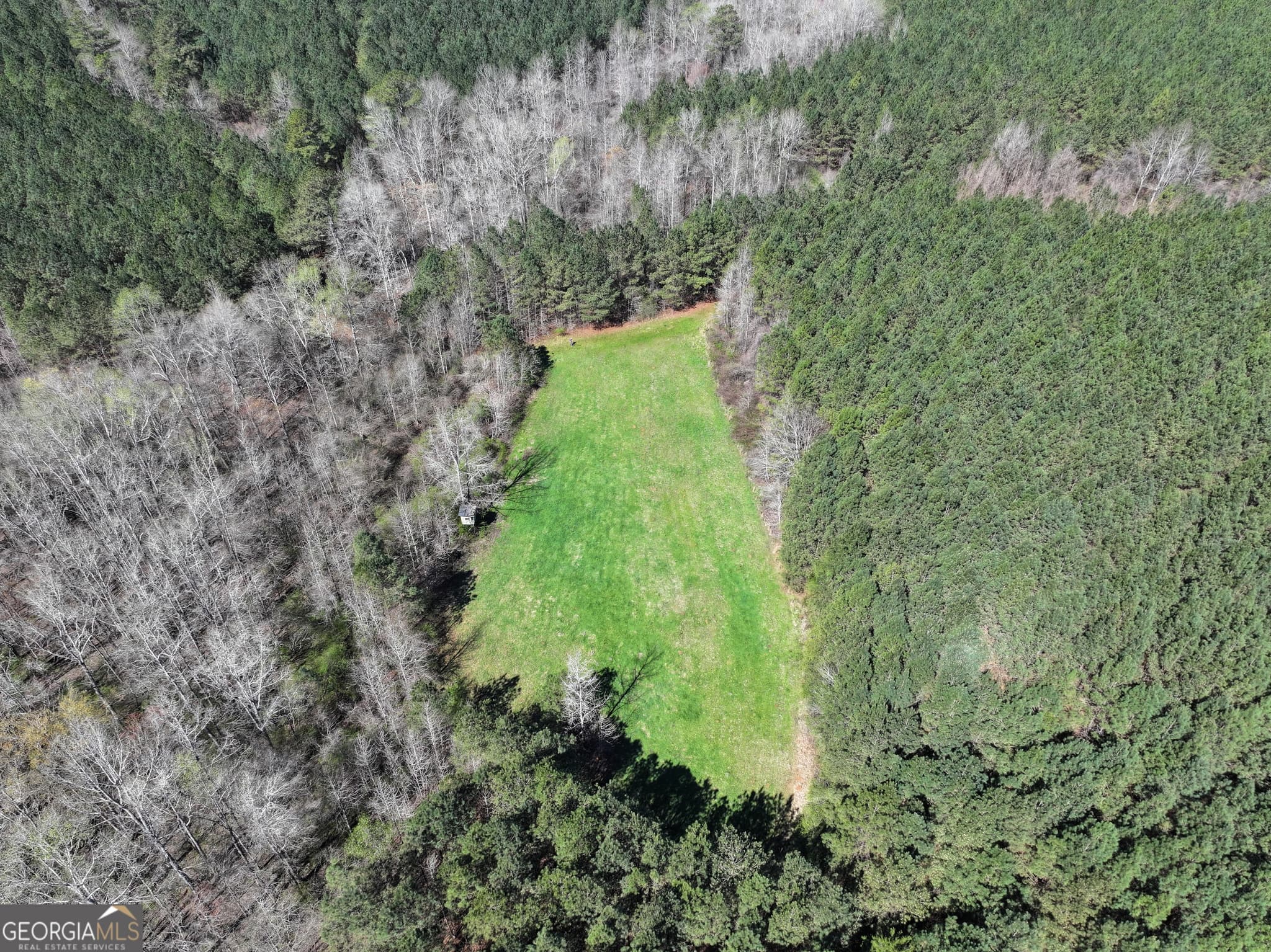 agriculture for sale at 257 +/- Acres on Ridgeway Road, Franklin, GA 30217 — photo 4