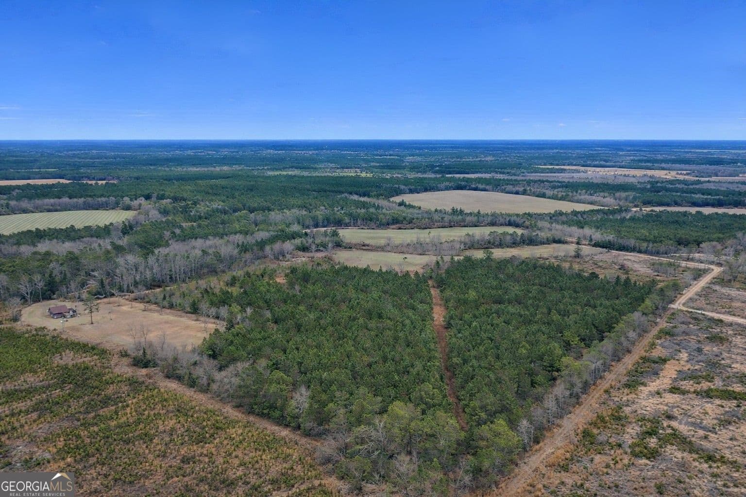 agriculture sold at TRACT 4 Reddish Road, Odum, GA 31555