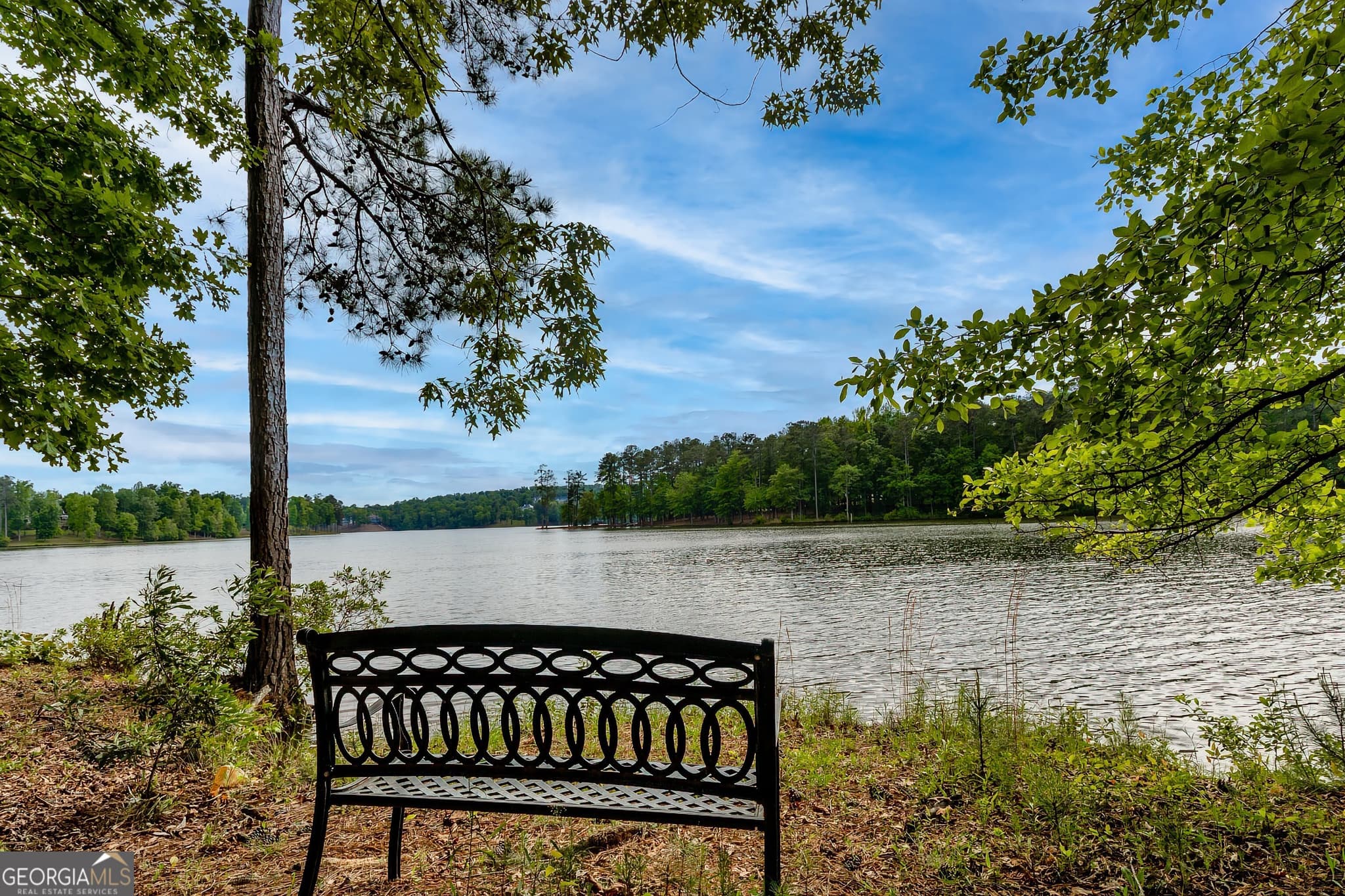 residential lot for sale at 221 N Cove Drive, Peachtree City, GA 30269 — photo 9