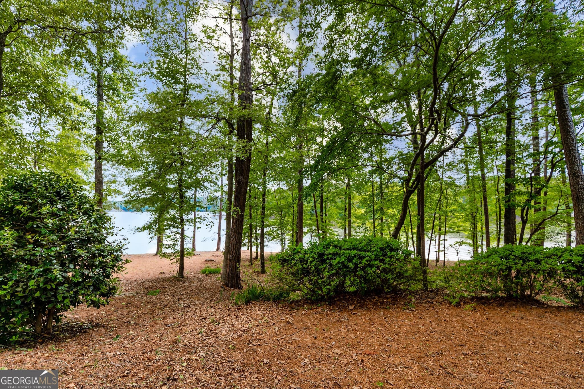 residential lot for sale at 221 N Cove Drive, Peachtree City, GA 30269 — photo 8