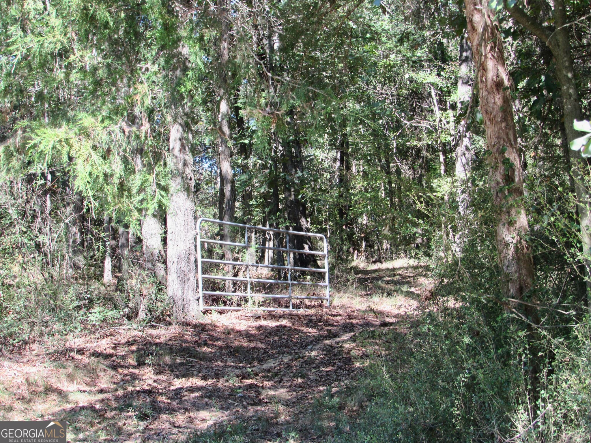agriculture for sale at 00 Maxwell Mill Road, Dewy Rose, GA 30634 — photo 6