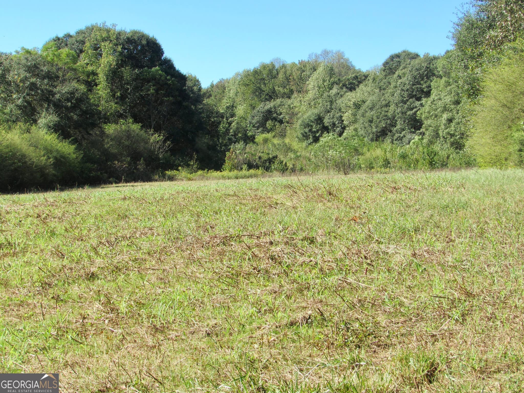 agriculture for sale at 00 Maxwell Mill Road, Dewy Rose, GA 30634 — photo 7