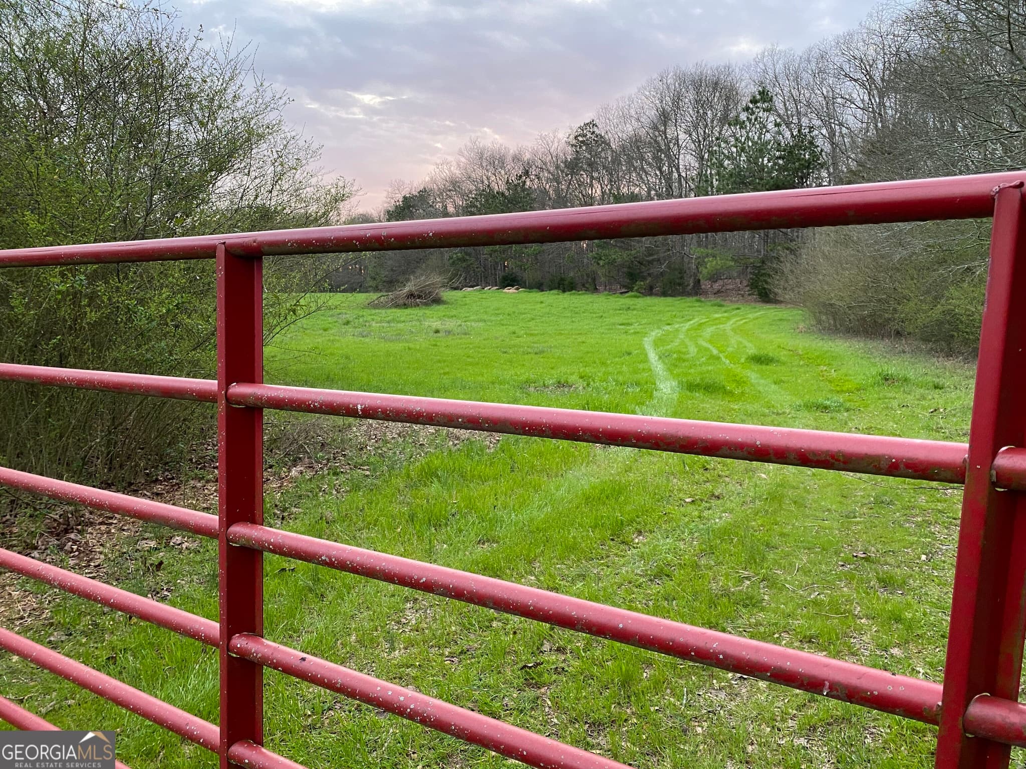 agriculture for sale at 00 Maxwell Mill Road, Dewy Rose, GA 30634 — photo 3