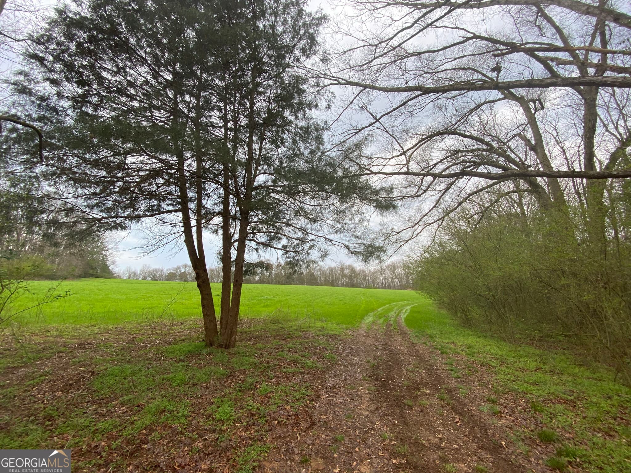 agriculture for sale at 00 Maxwell Mill Road, Dewy Rose, GA 30634 — photo 1 of 36