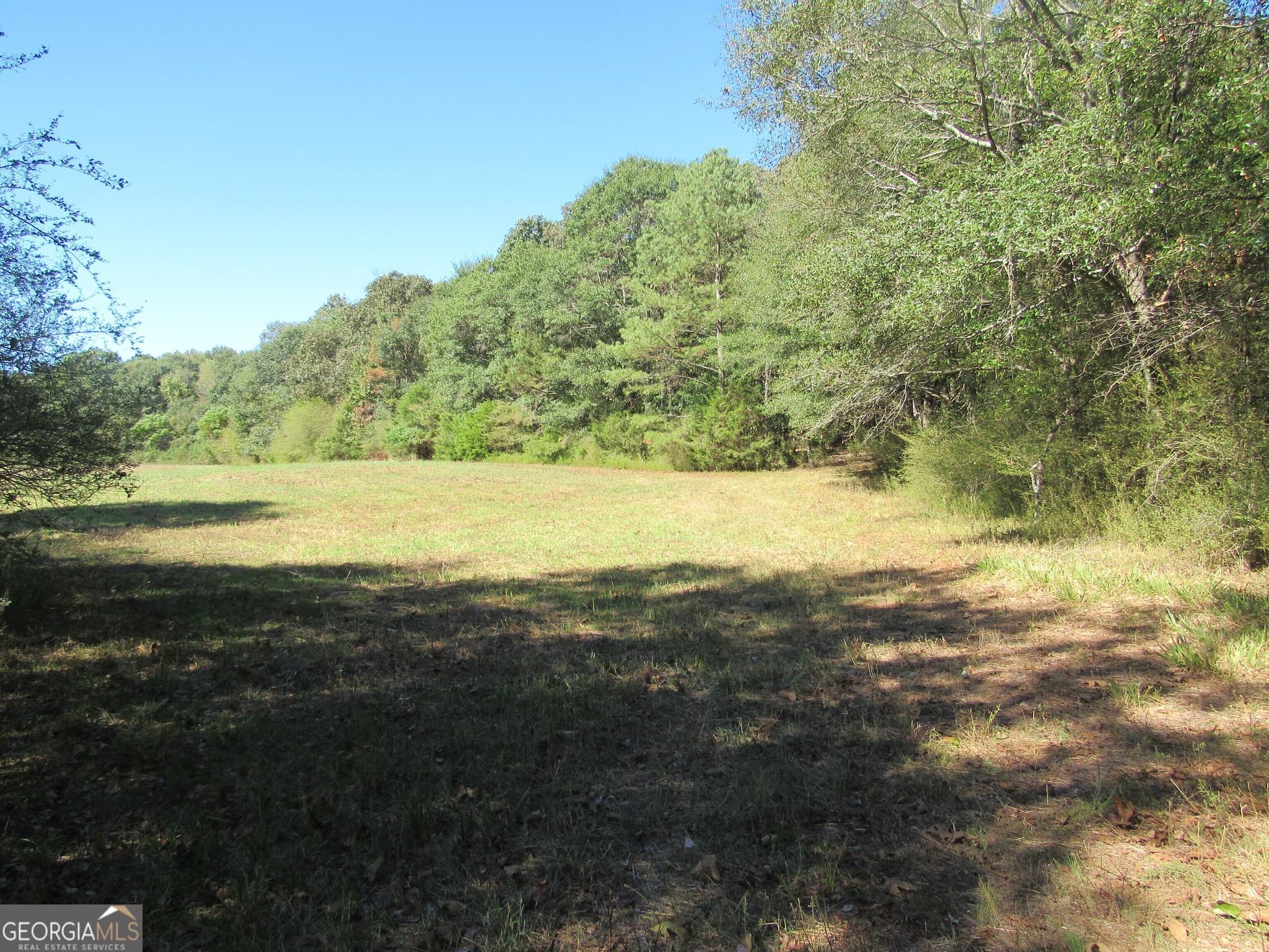 agriculture for sale at 00 Maxwell Mill Road, Dewy Rose, GA 30634 — photo 5