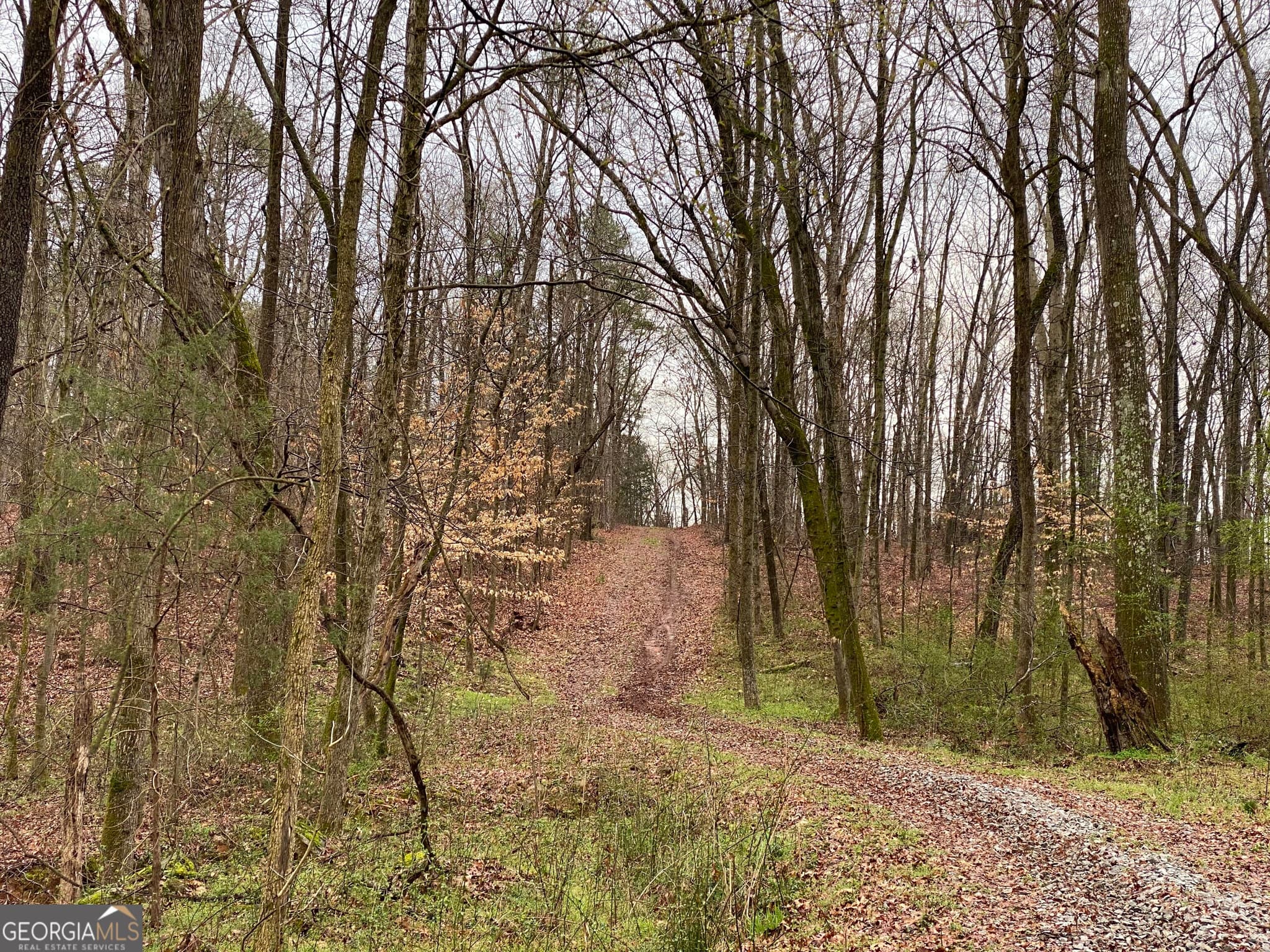 agriculture for sale at 00 Maxwell Mill Road, Dewy Rose, GA 30634 — photo 9