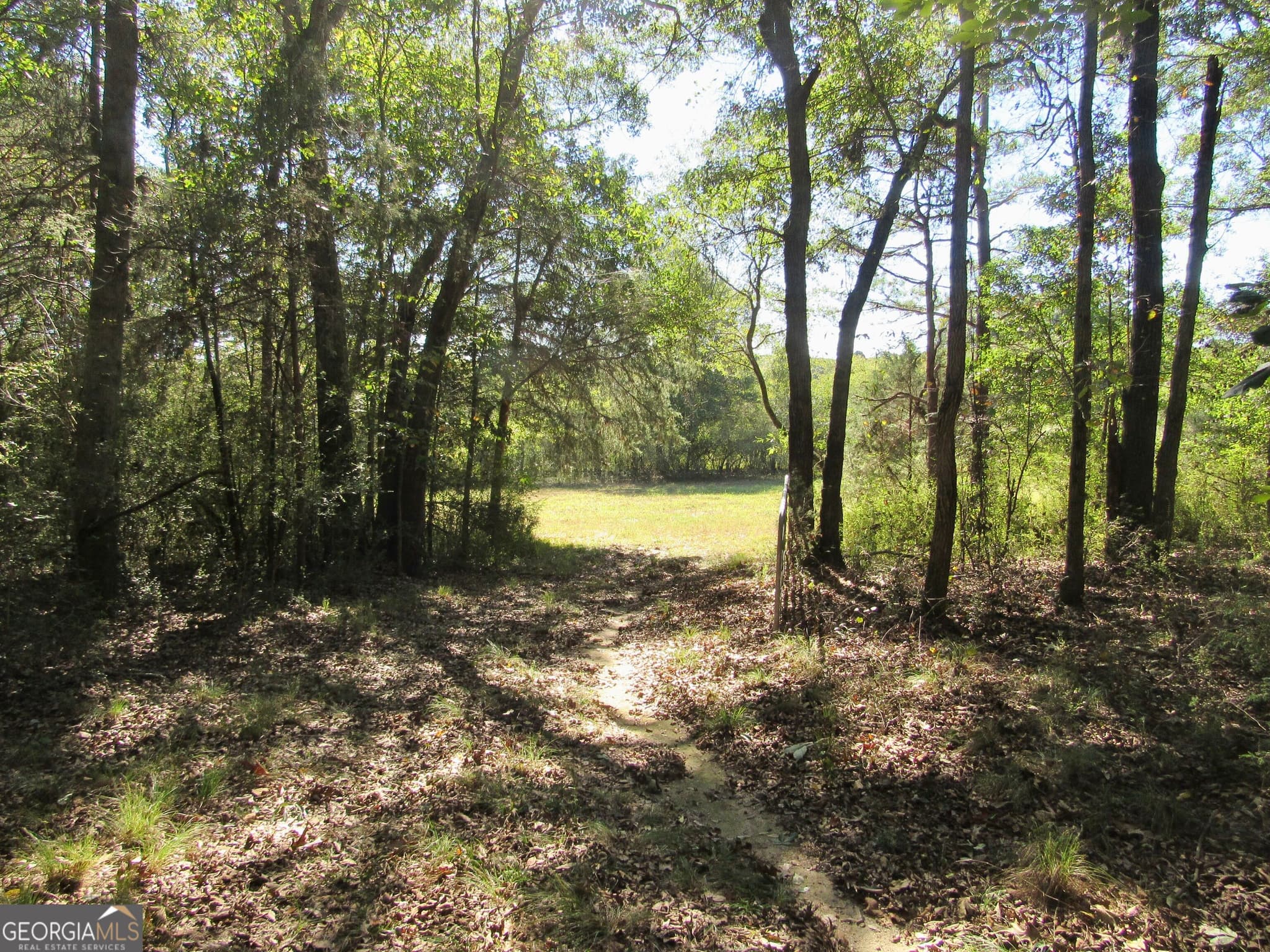 agriculture for sale at 00 Maxwell Mill Road, Dewy Rose, GA 30634 — photo 10