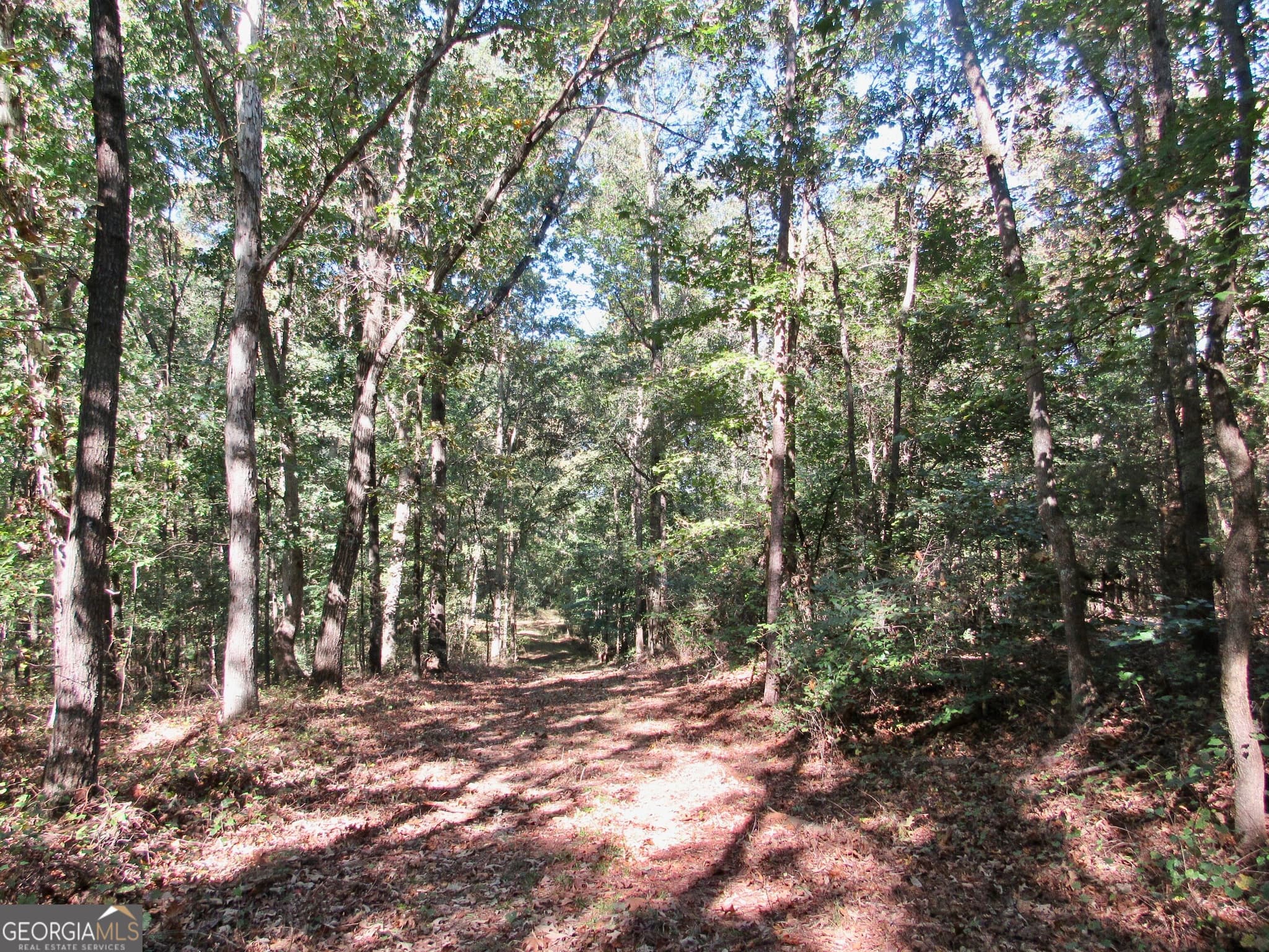 agriculture for sale at 00 Maxwell Mill Road, Dewy Rose, GA 30634 — photo 8