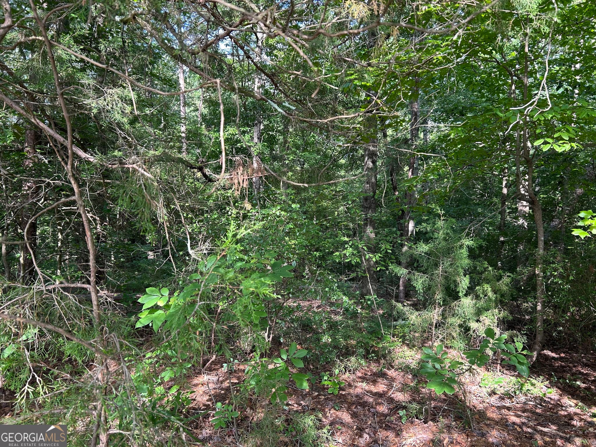 residential lot for sale at 0 County Road 329, Wedowee, AL 36278 — photo 2