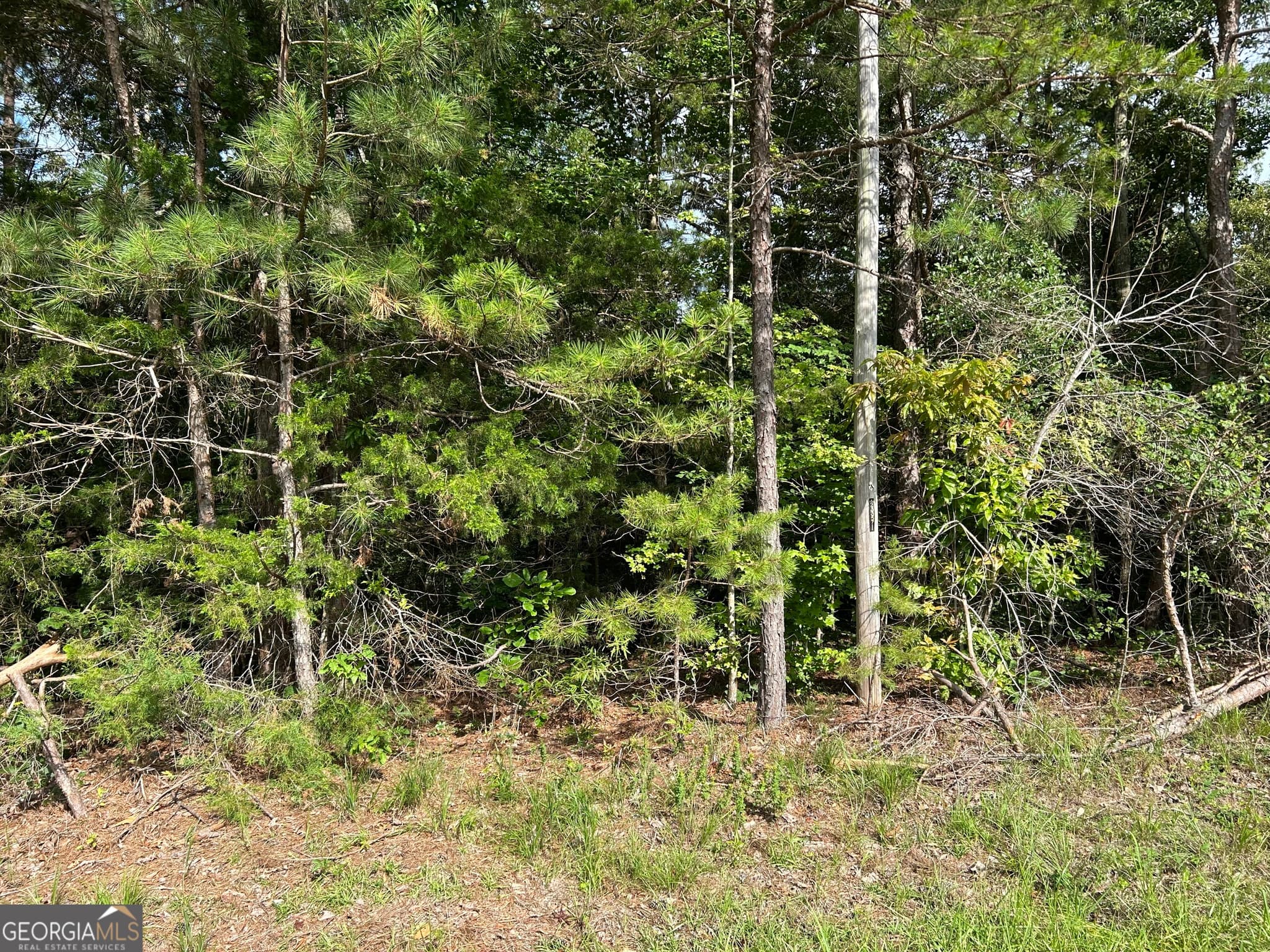 residential lot for sale at 0 County Road 329, Wedowee, AL 36278 — photo 3