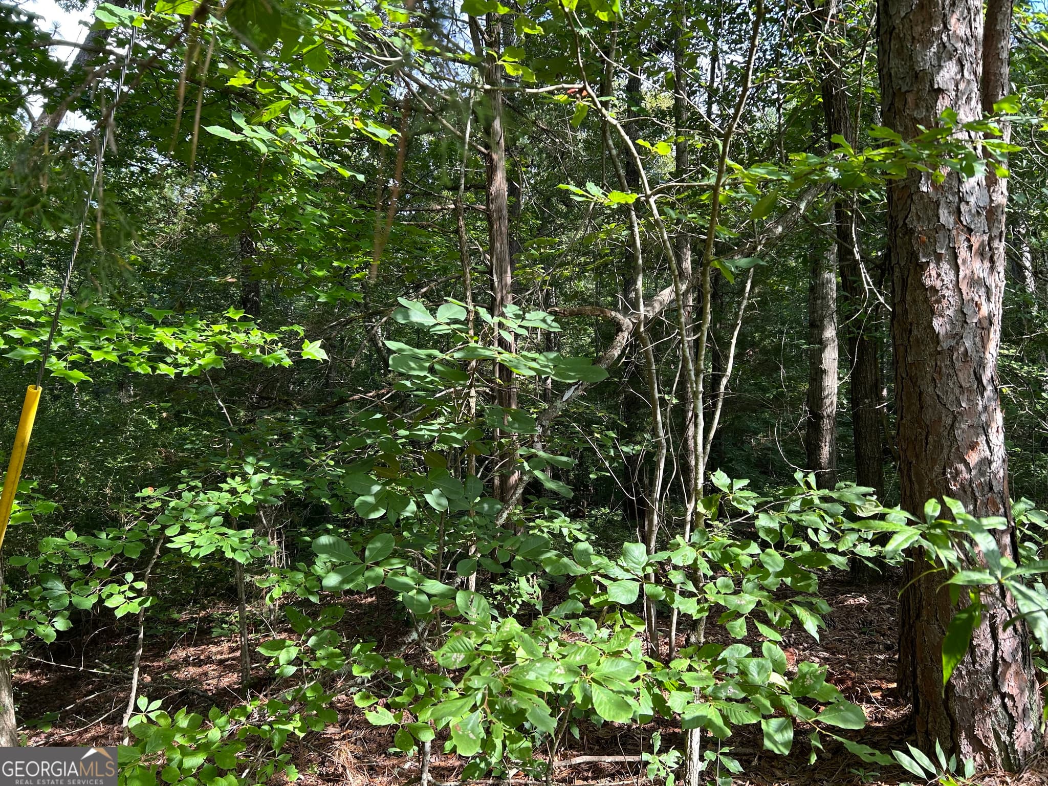 residential lot for sale at 0 County Road 329, Wedowee, AL 36278