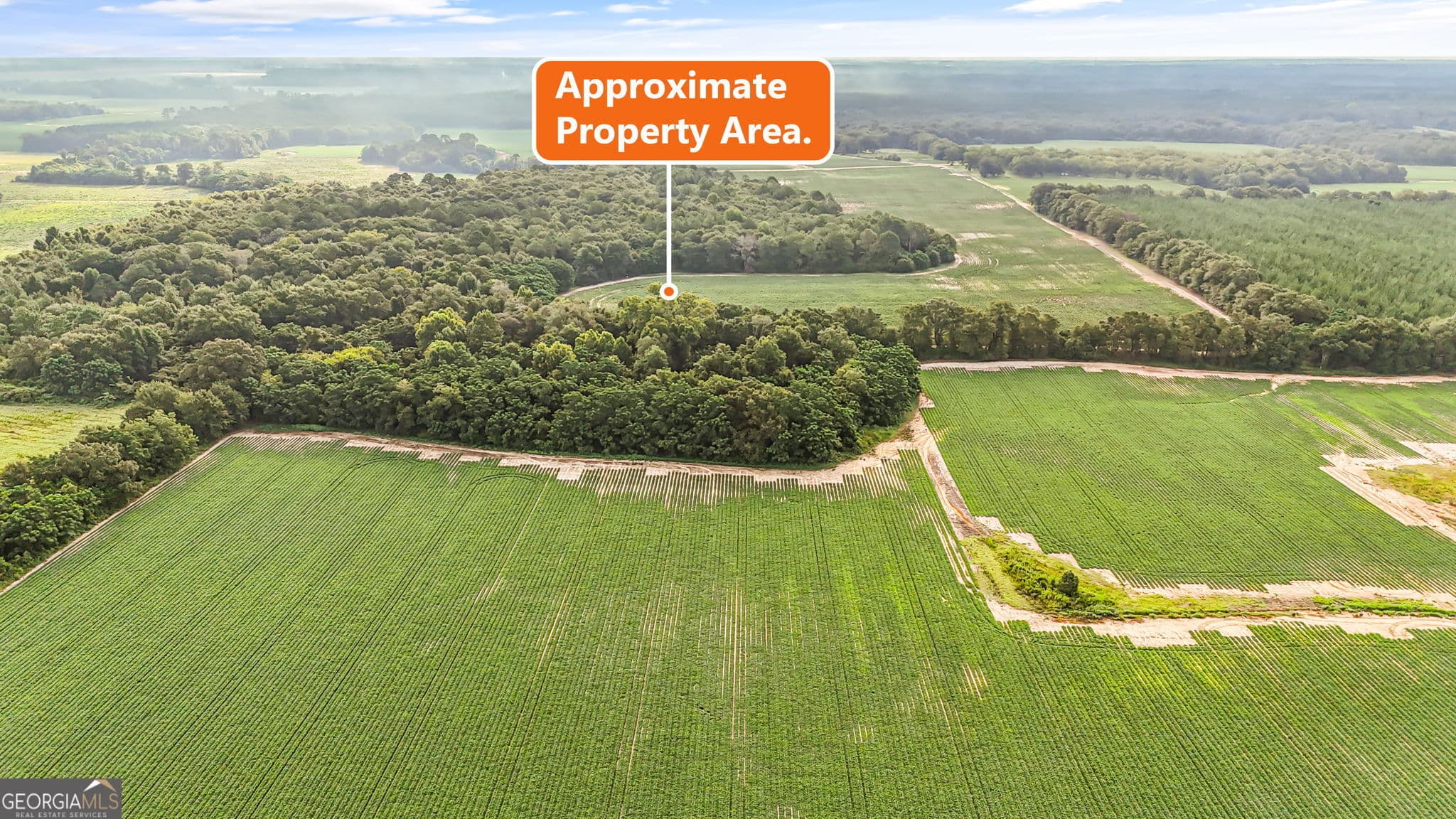 agriculture for sale at 0 Long Road, Vienna, GA 31092 — photo 3